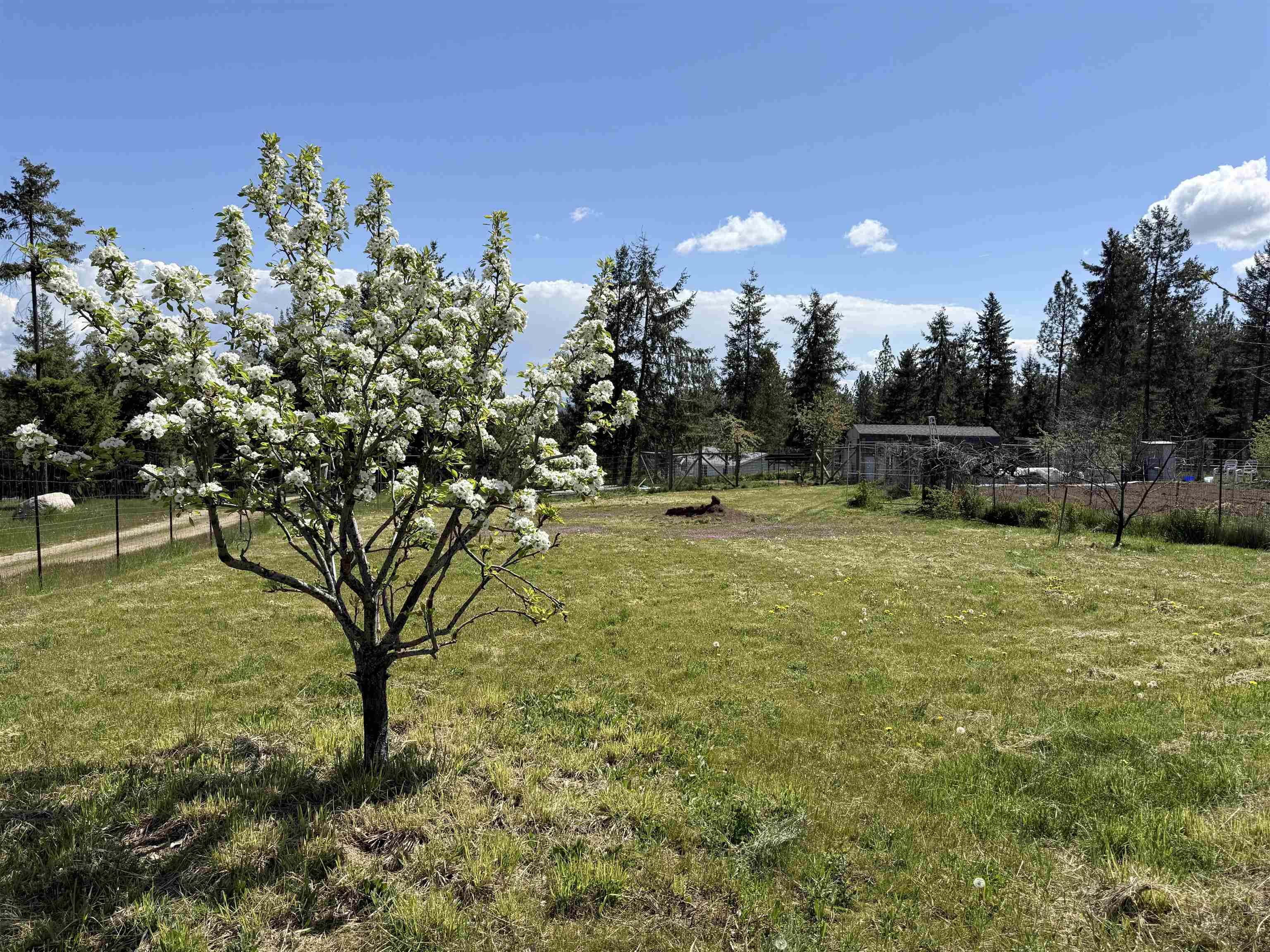 5418 S Wallbridge Rd - Photo 48