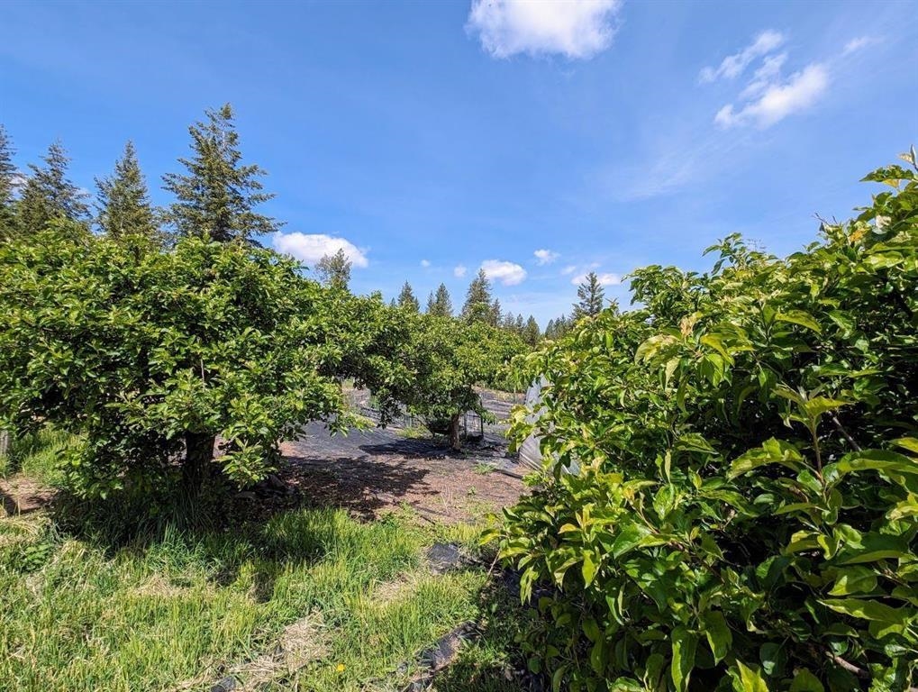 5418 S Wallbridge Rd - Photo 47