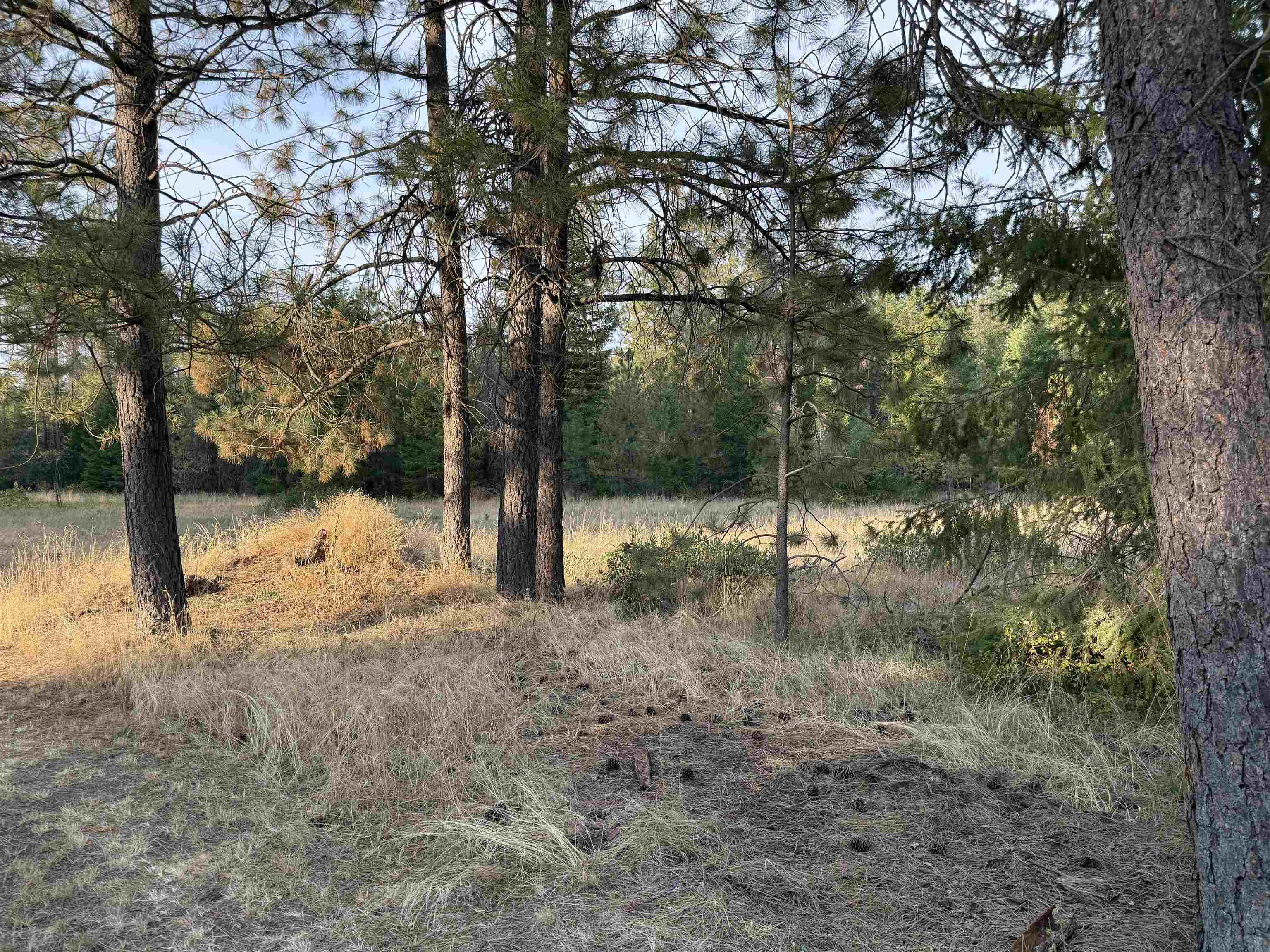 3824 Powers Rd - Photo 30