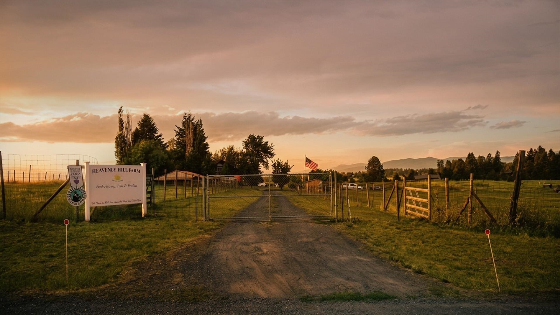 11726 E Day- Mt Spokane Rd - Photo 5