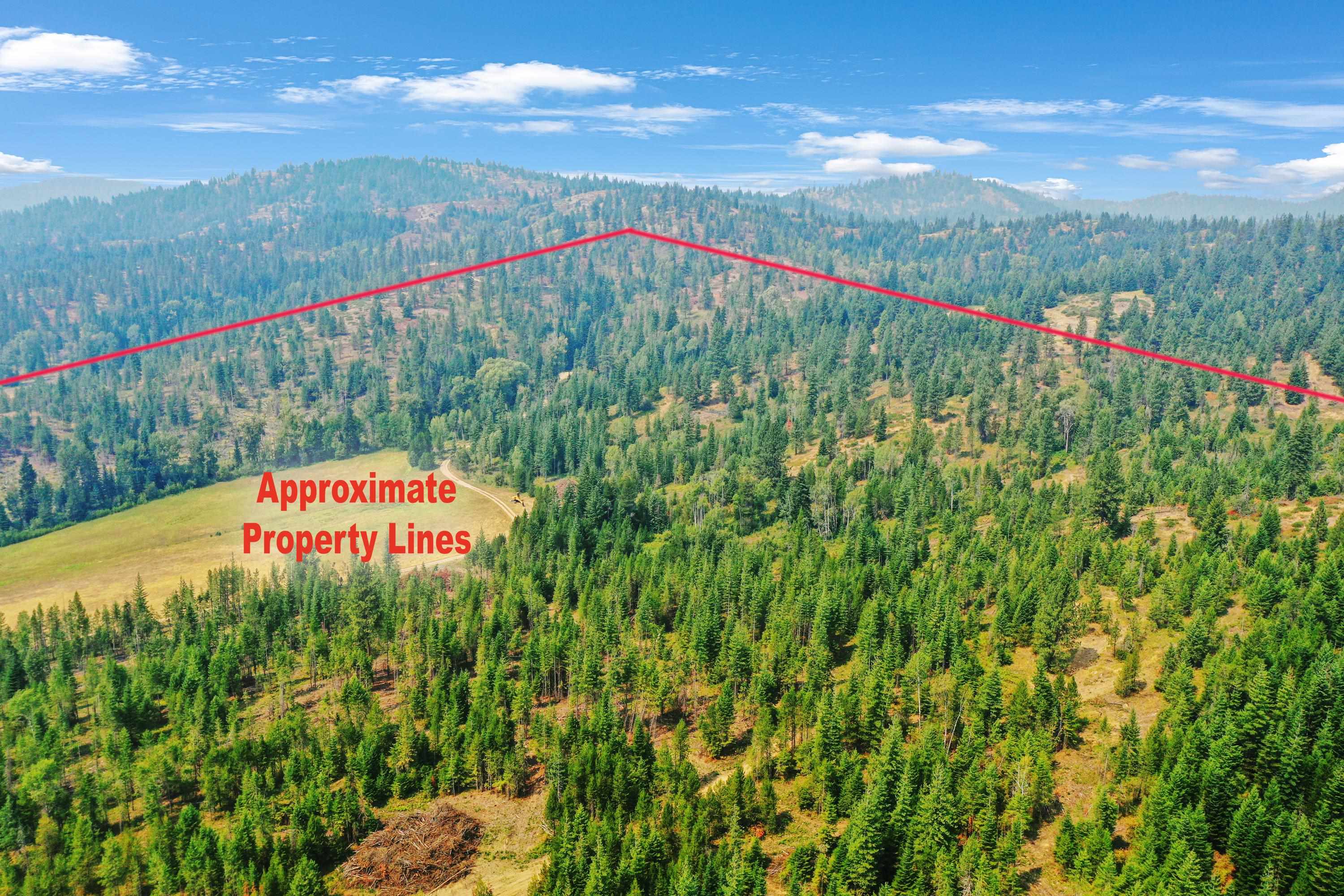 150 Weber Rd - Photo 15