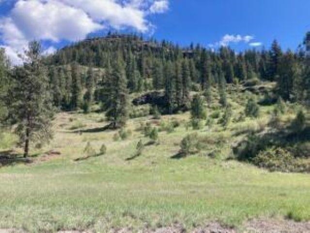 35XX Rockcut Rd - Photo 2
