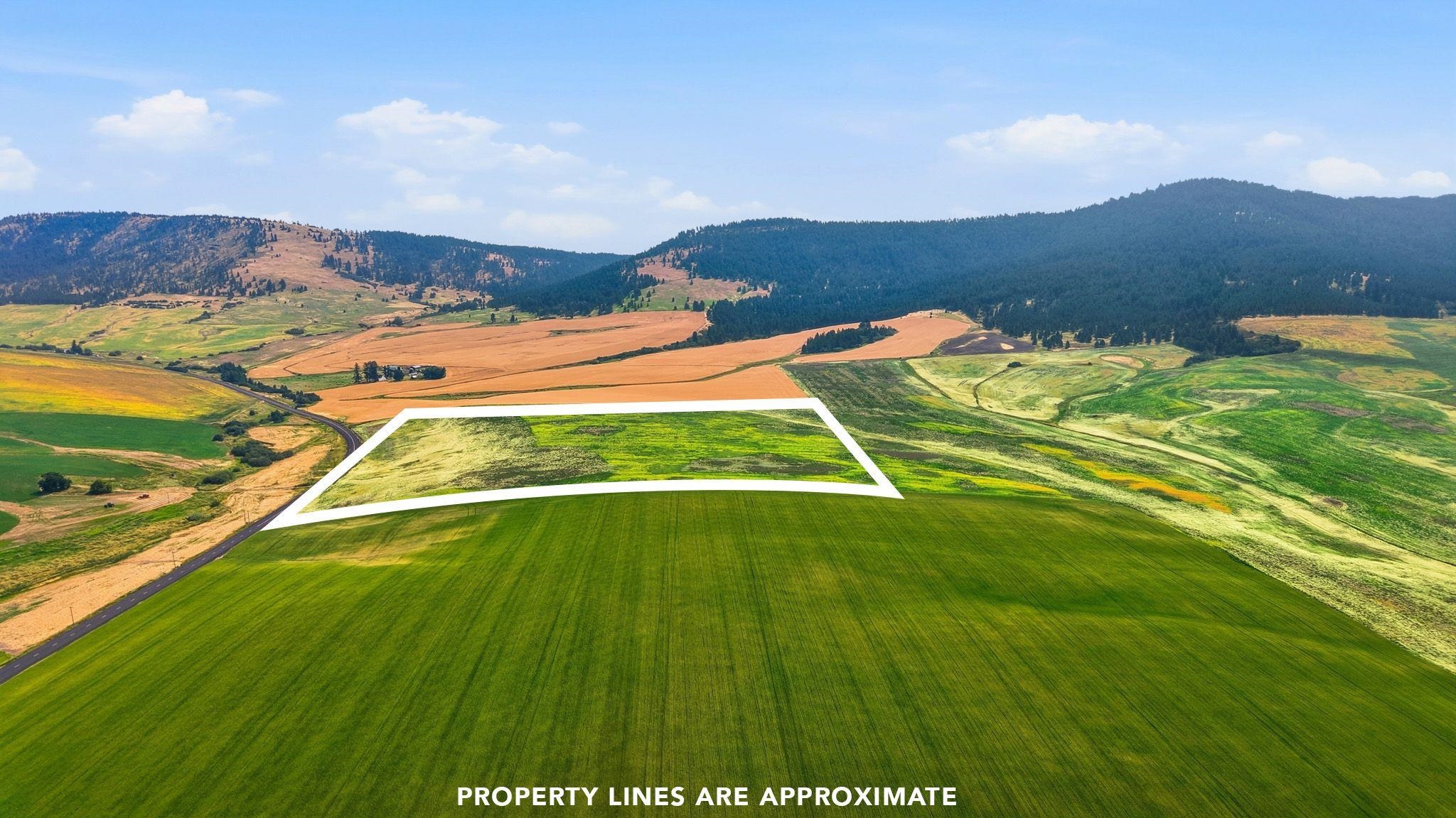 39.5 Acre Lot, Wheeler Rd - Photo 1