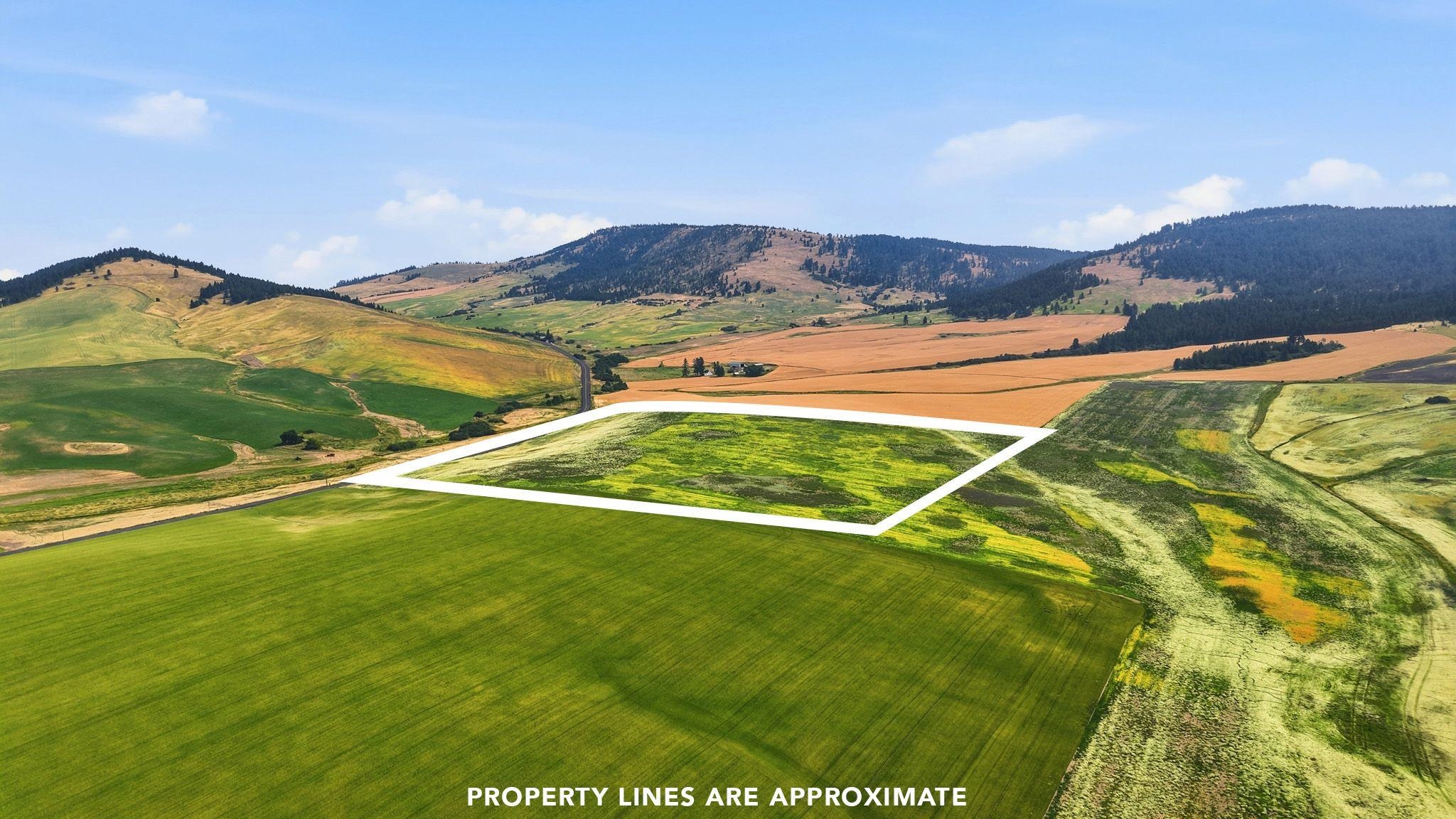 39.5 Acre Lot, Wheeler Rd - Photo 2