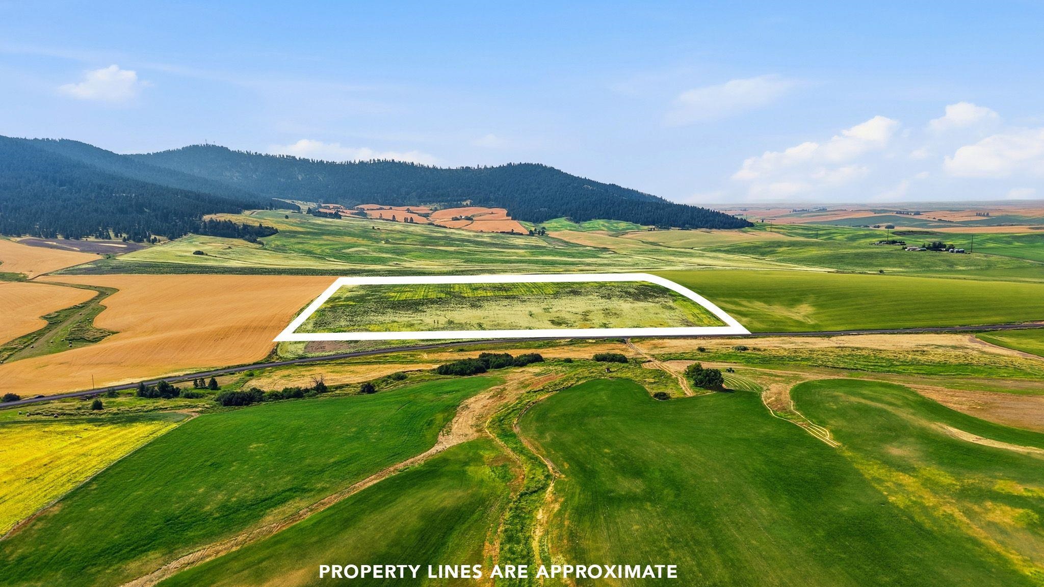 39.5 Acre Lot, Wheeler Rd - Photo 3