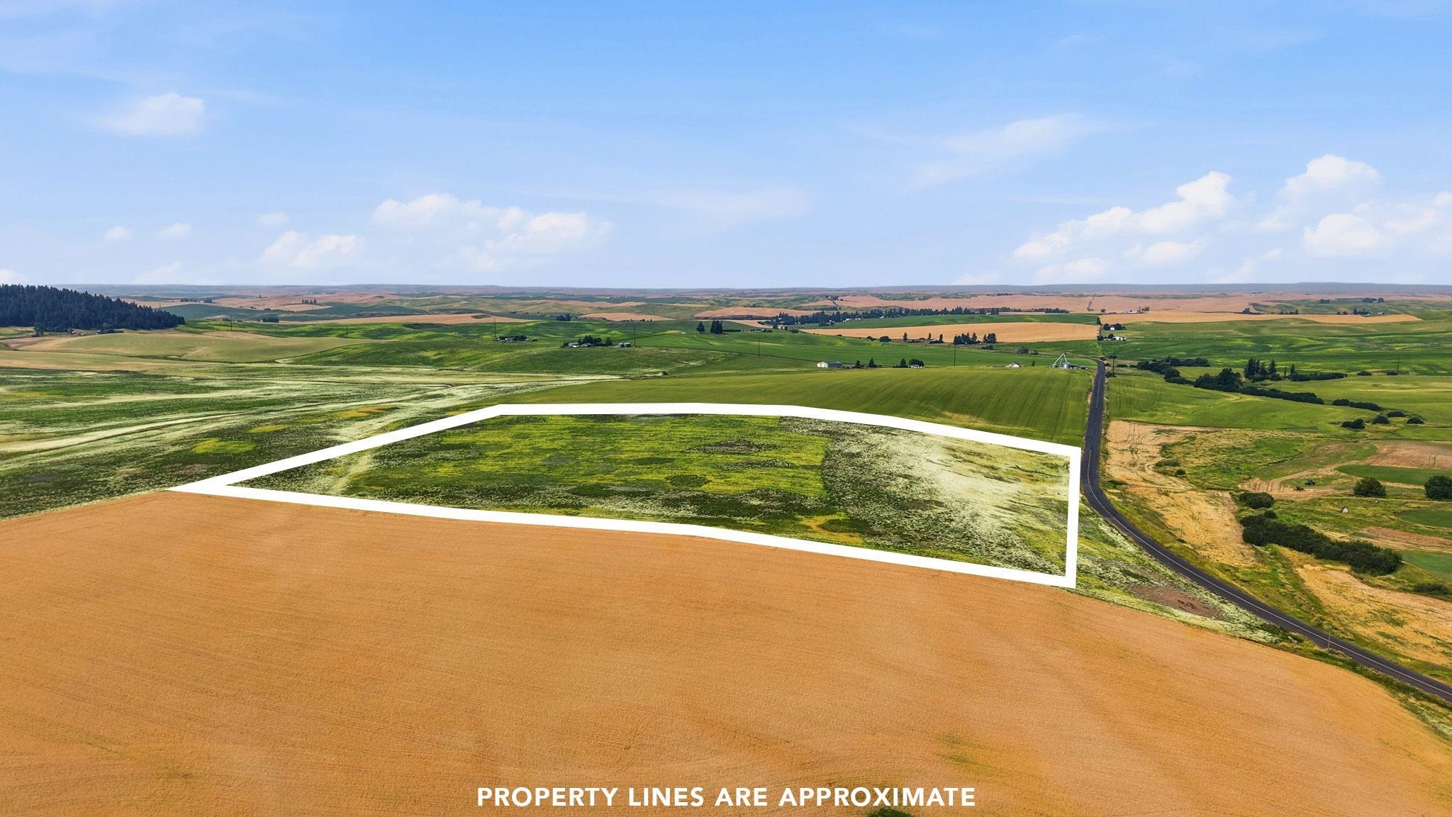 39.5 Acre Lot, Wheeler Rd - Photo 5
