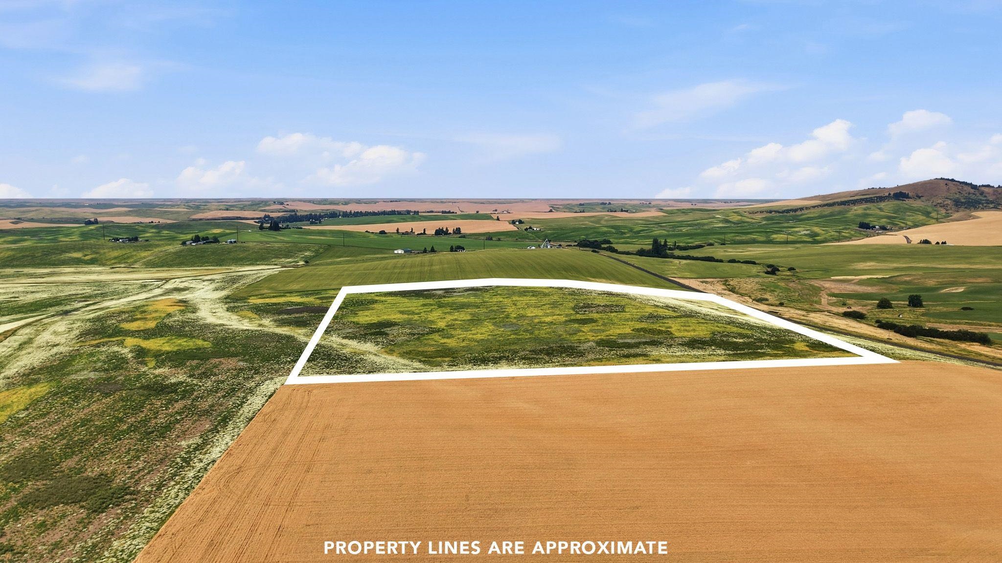 39.5 Acre Lot, Wheeler Rd - Photo 6