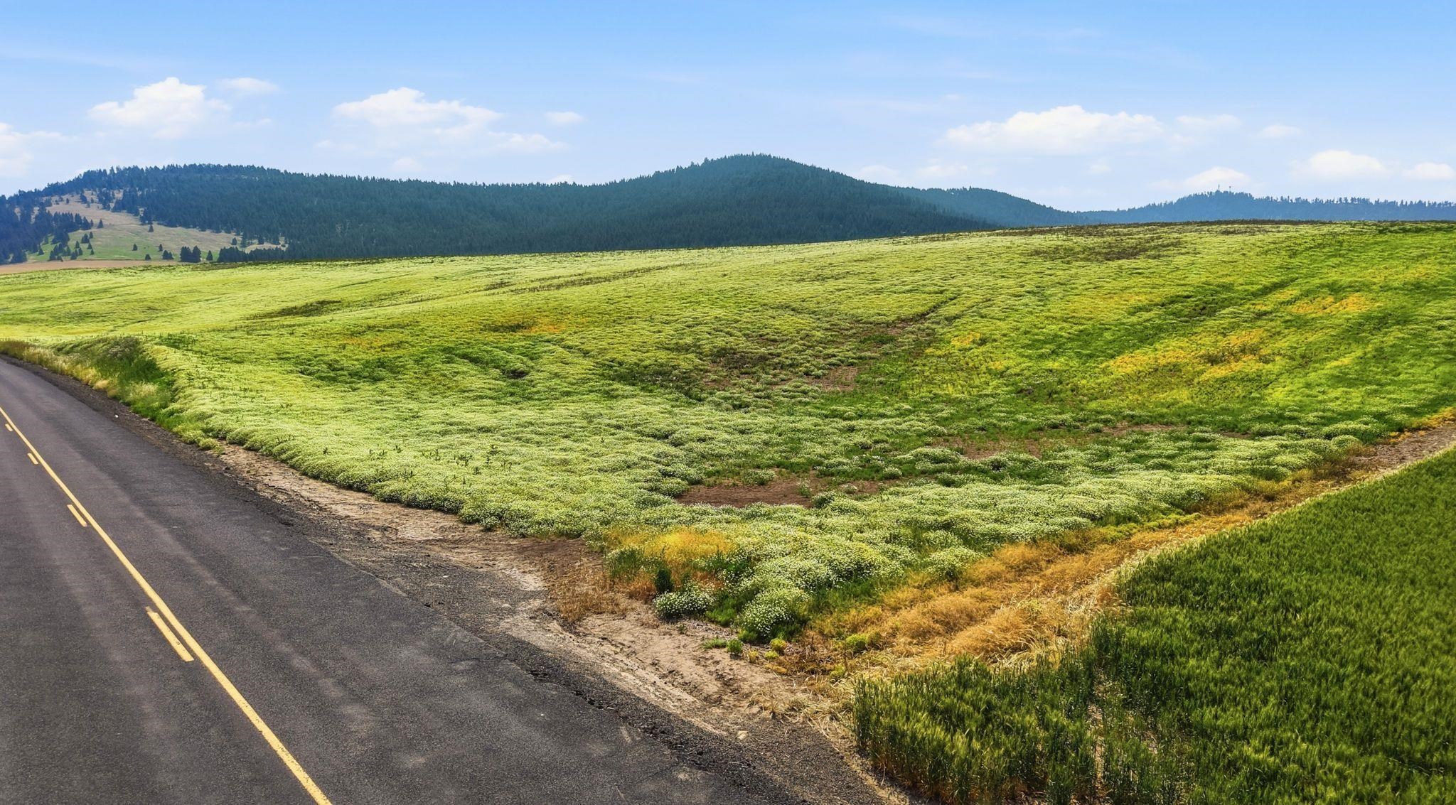 39.5 Acre Lot, Wheeler Rd - Photo 10