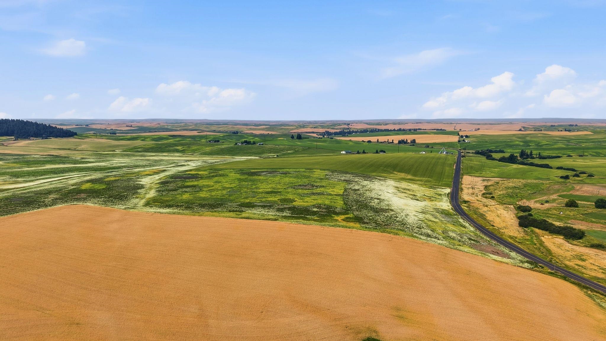 39.5 Acre Lot, Wheeler Rd - Photo 14