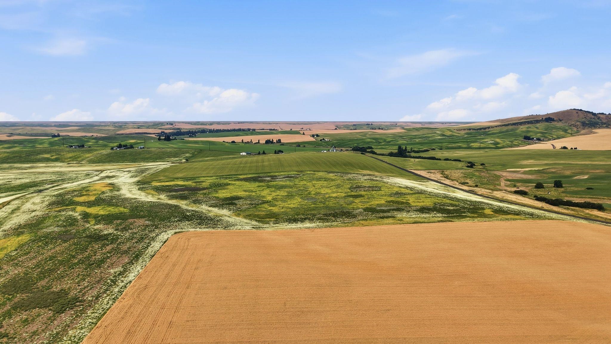 39.5 Acre Lot, Wheeler Rd - Photo 15