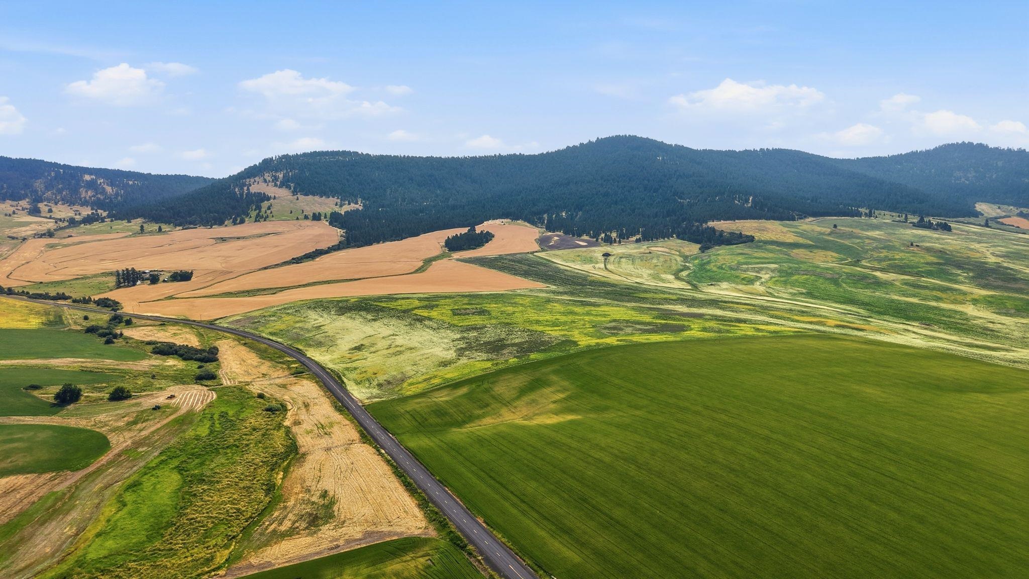 39.5 Acre Lot, Wheeler Rd - Photo 34