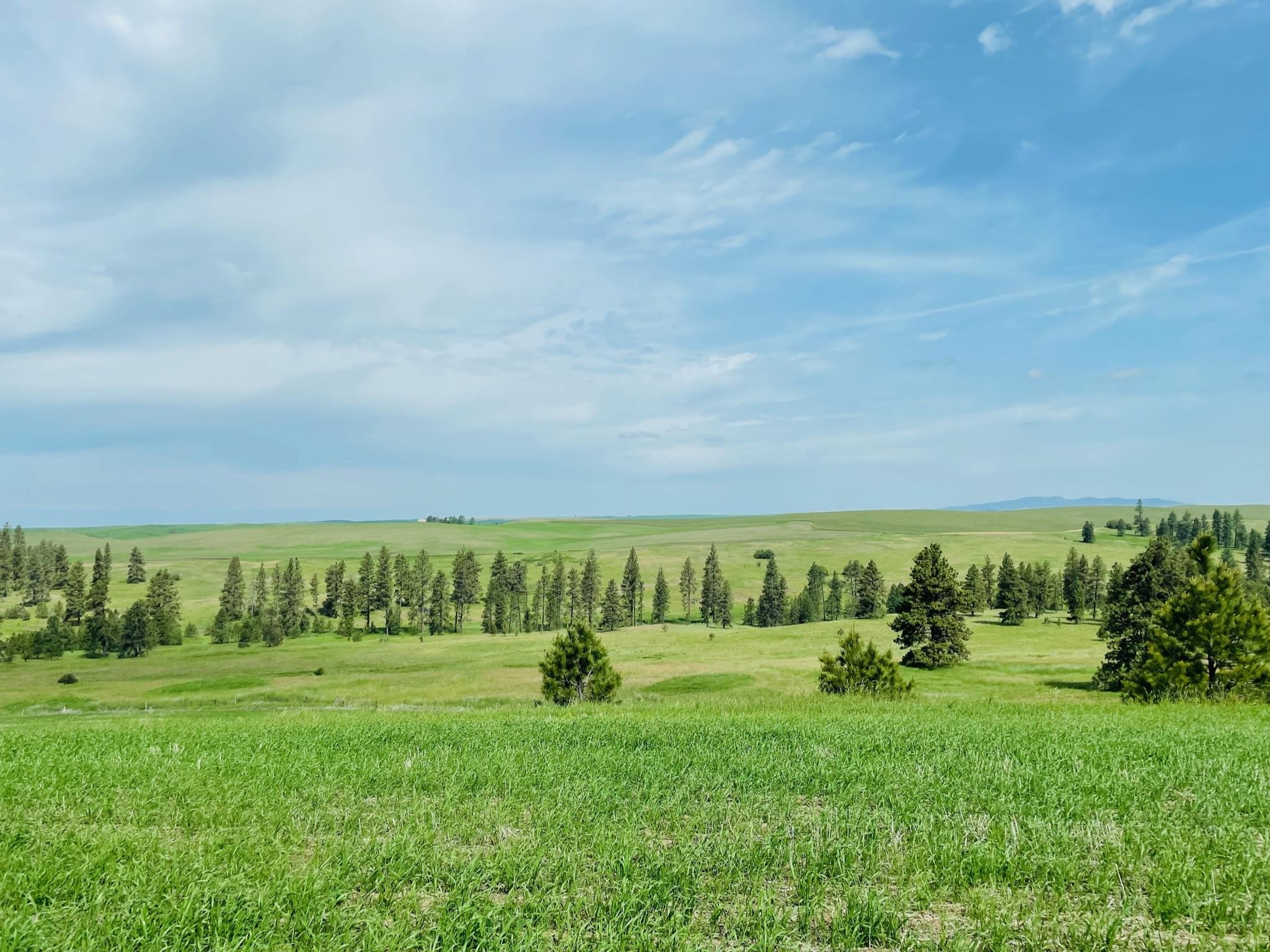 11900 Hays Rd - Photo 6