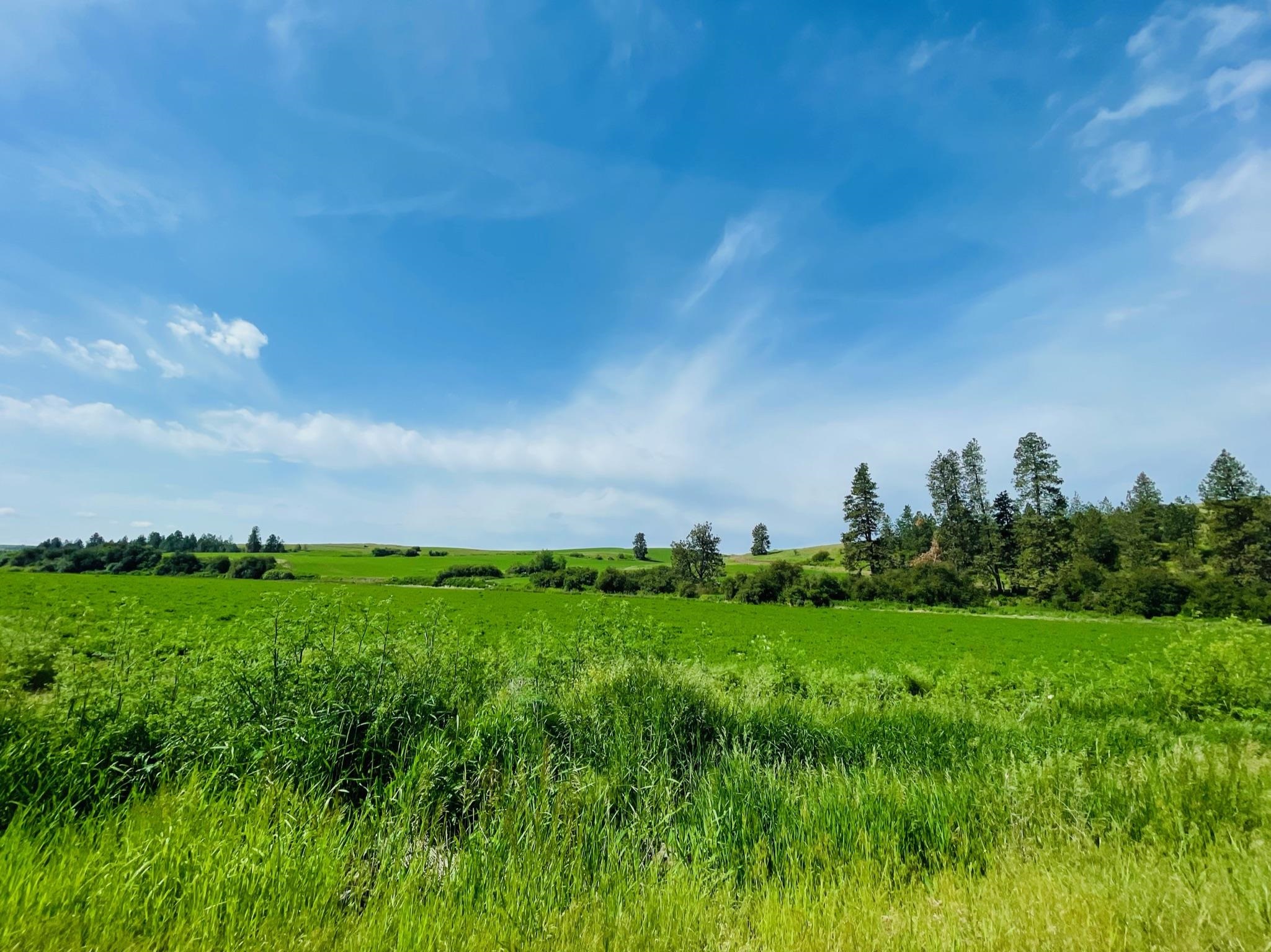 11900 Hays Rd - Photo 8