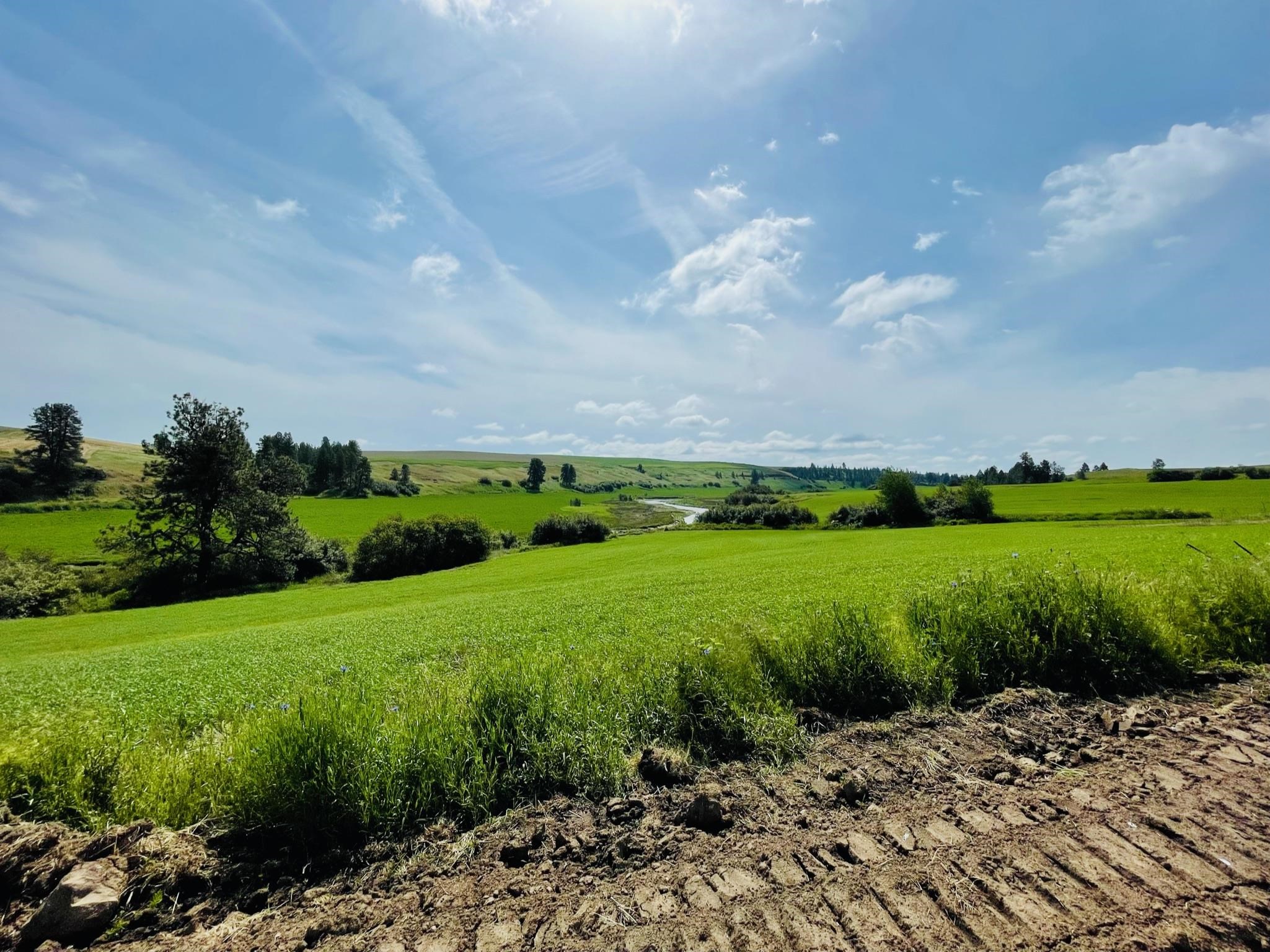 11900 Hays Rd - Photo 11