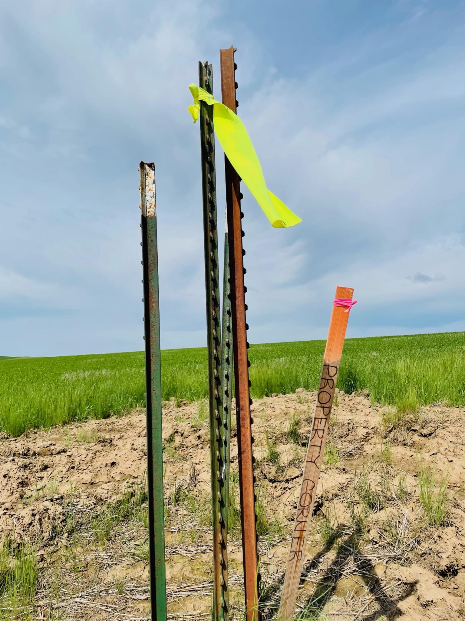 11900 Hays Rd - Photo 12