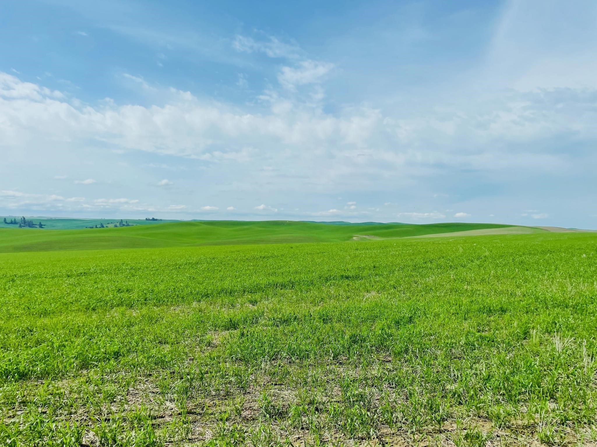 11900 Hays Rd - Photo 15