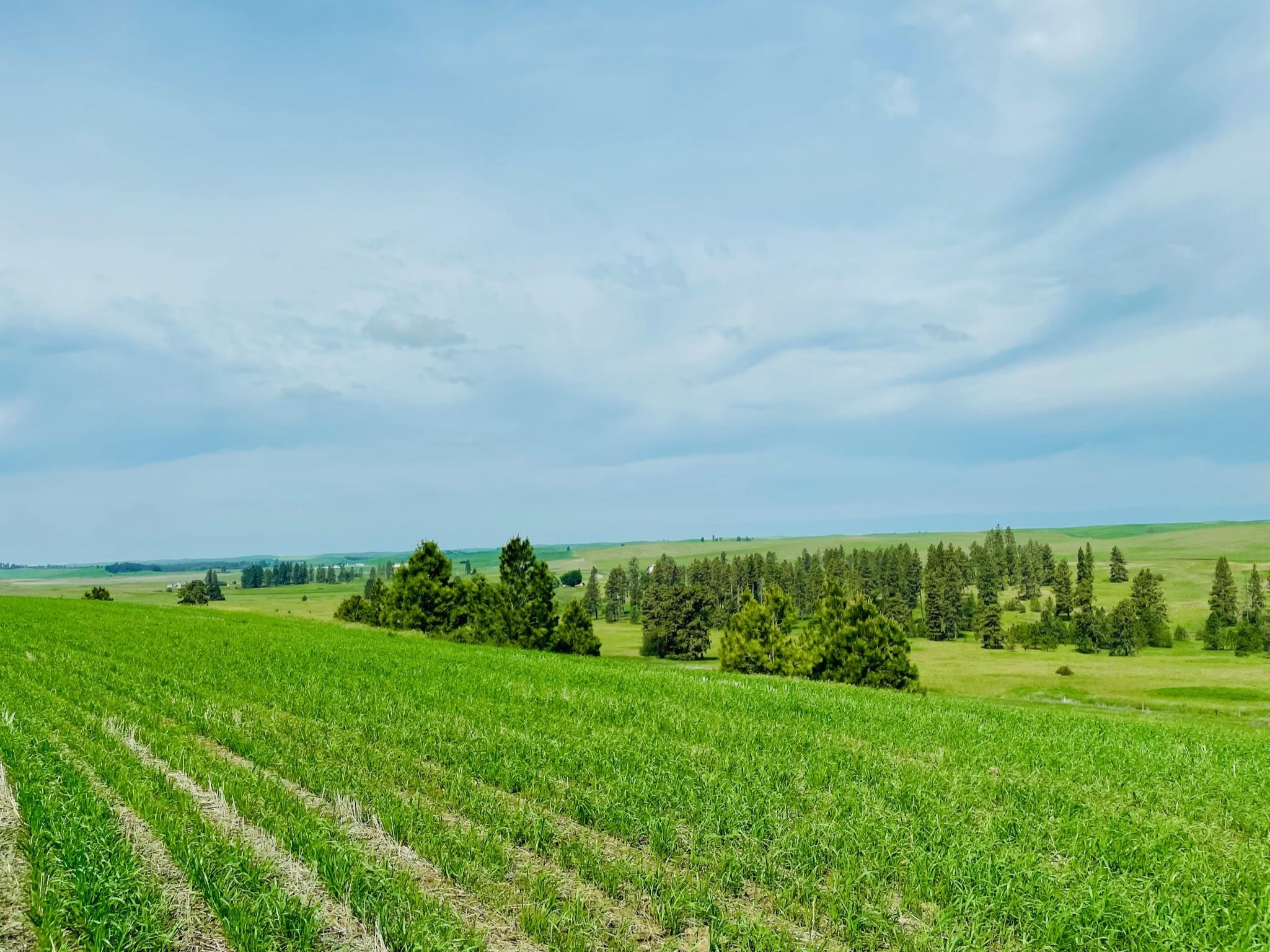 11900 Hays Rd - Photo 16