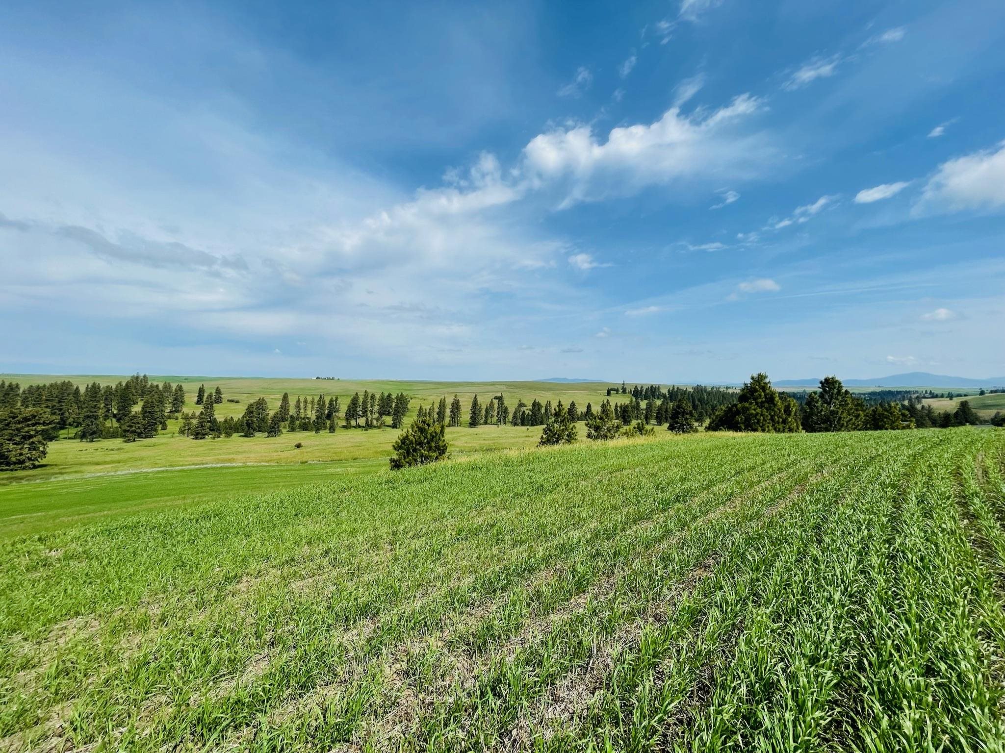 11900 Hays Rd - Photo 19