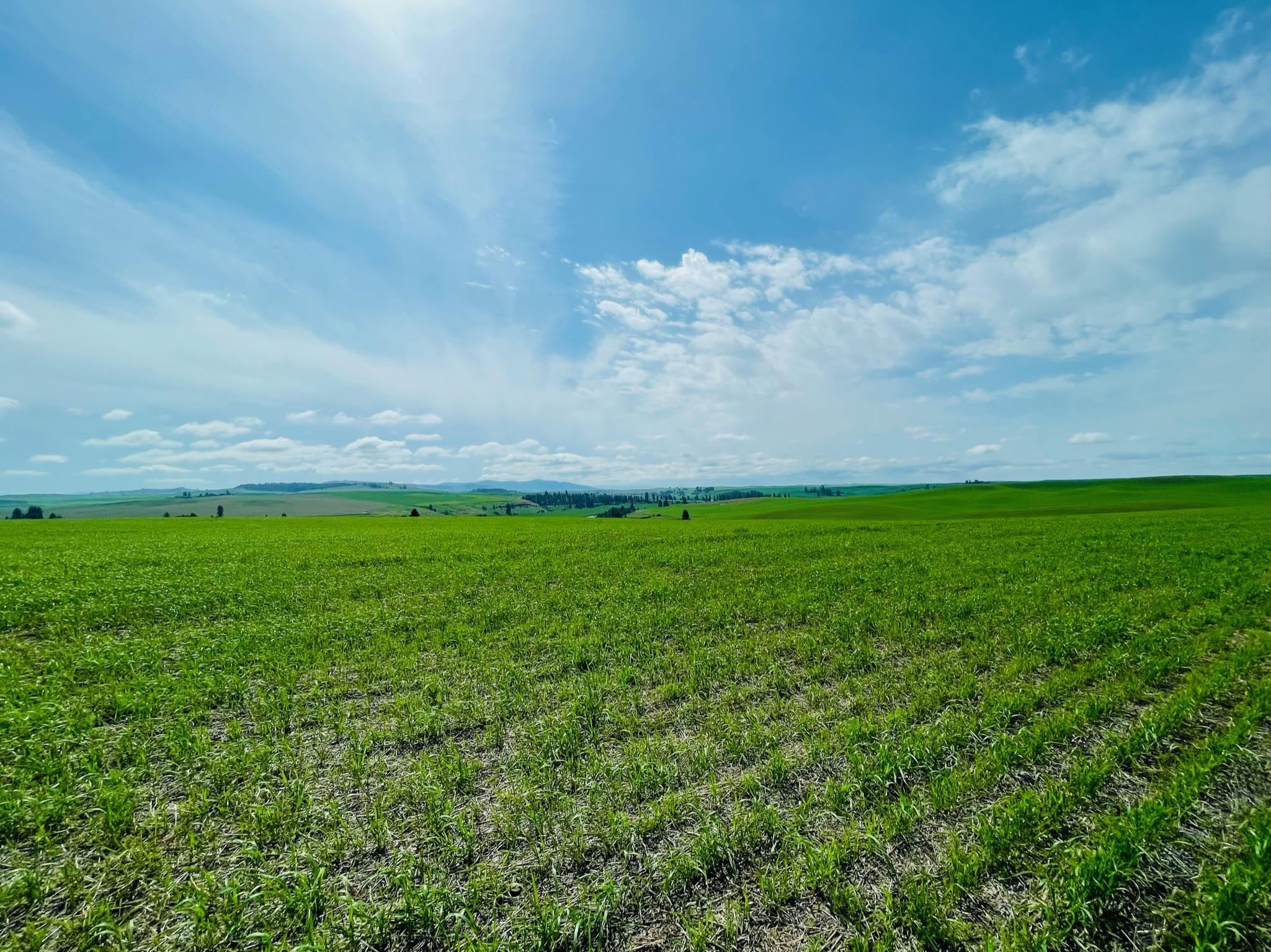 11900 Hays Rd - Photo 21