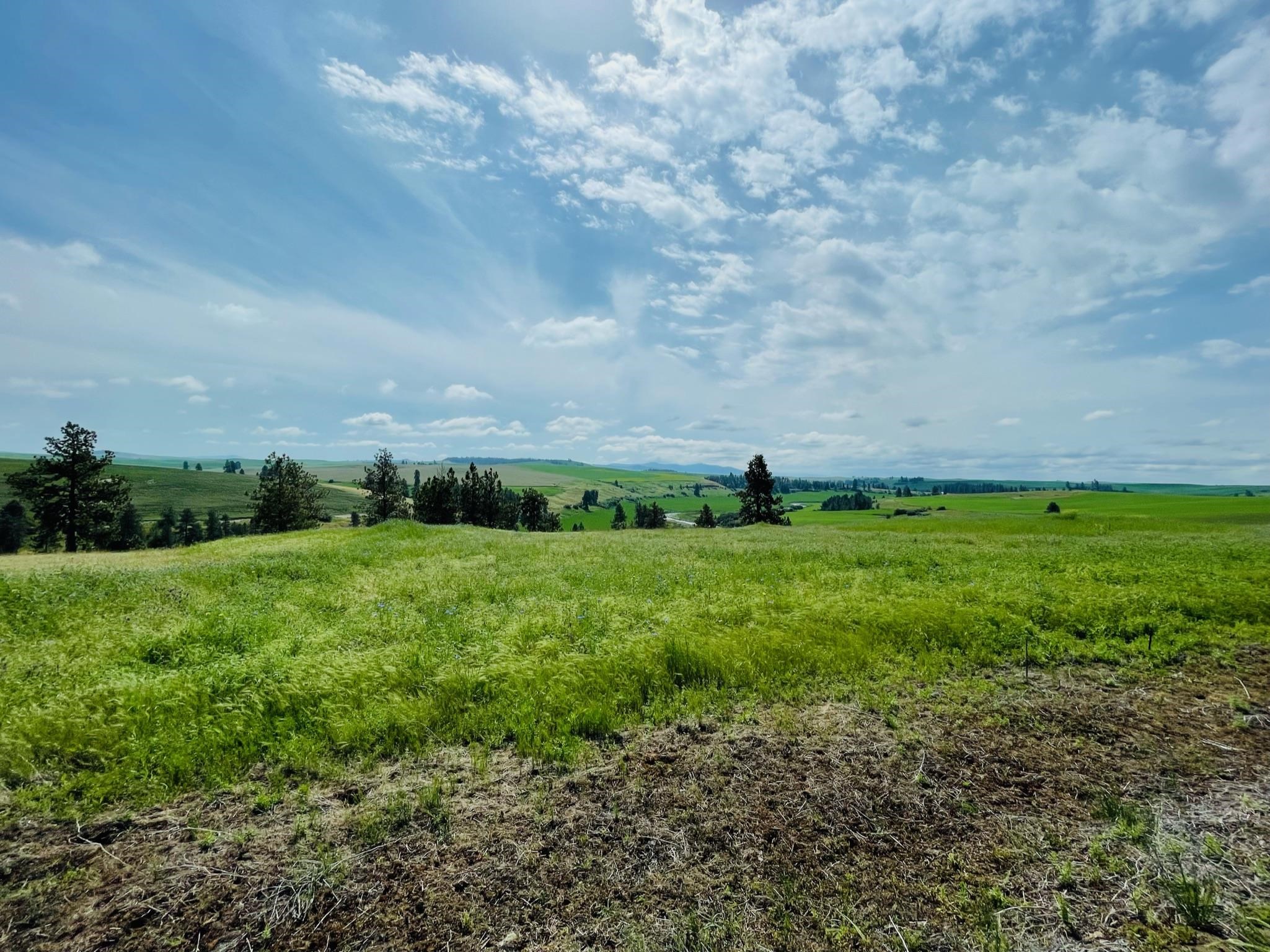 11900 Hays Rd - Photo 23