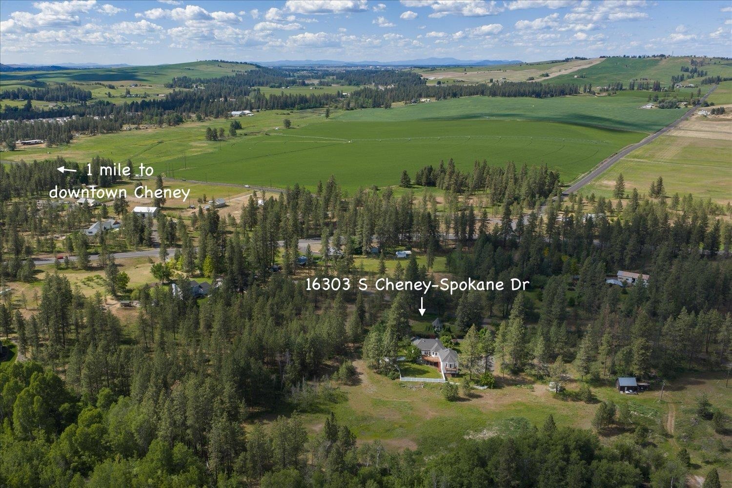 16303 S Cheney-Spokane Rd - Photo 3