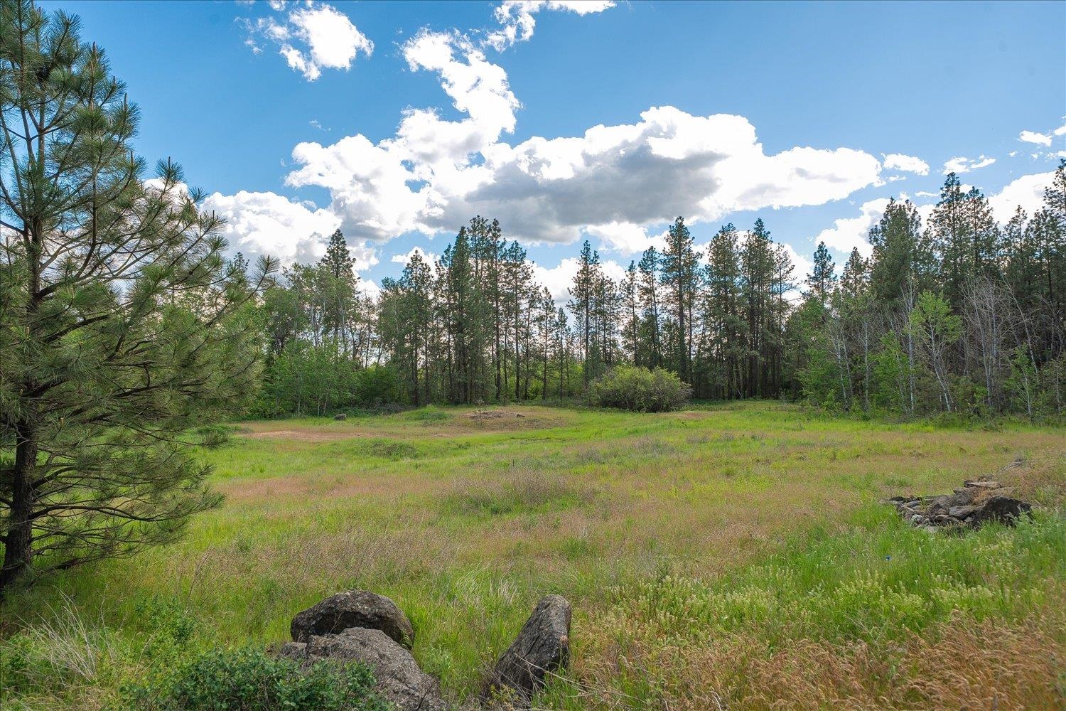 16303 S Cheney-Spokane Rd - Photo 9