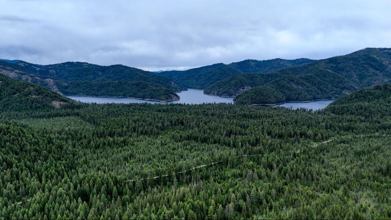6071 Bead Lake Rd - Photo 5
