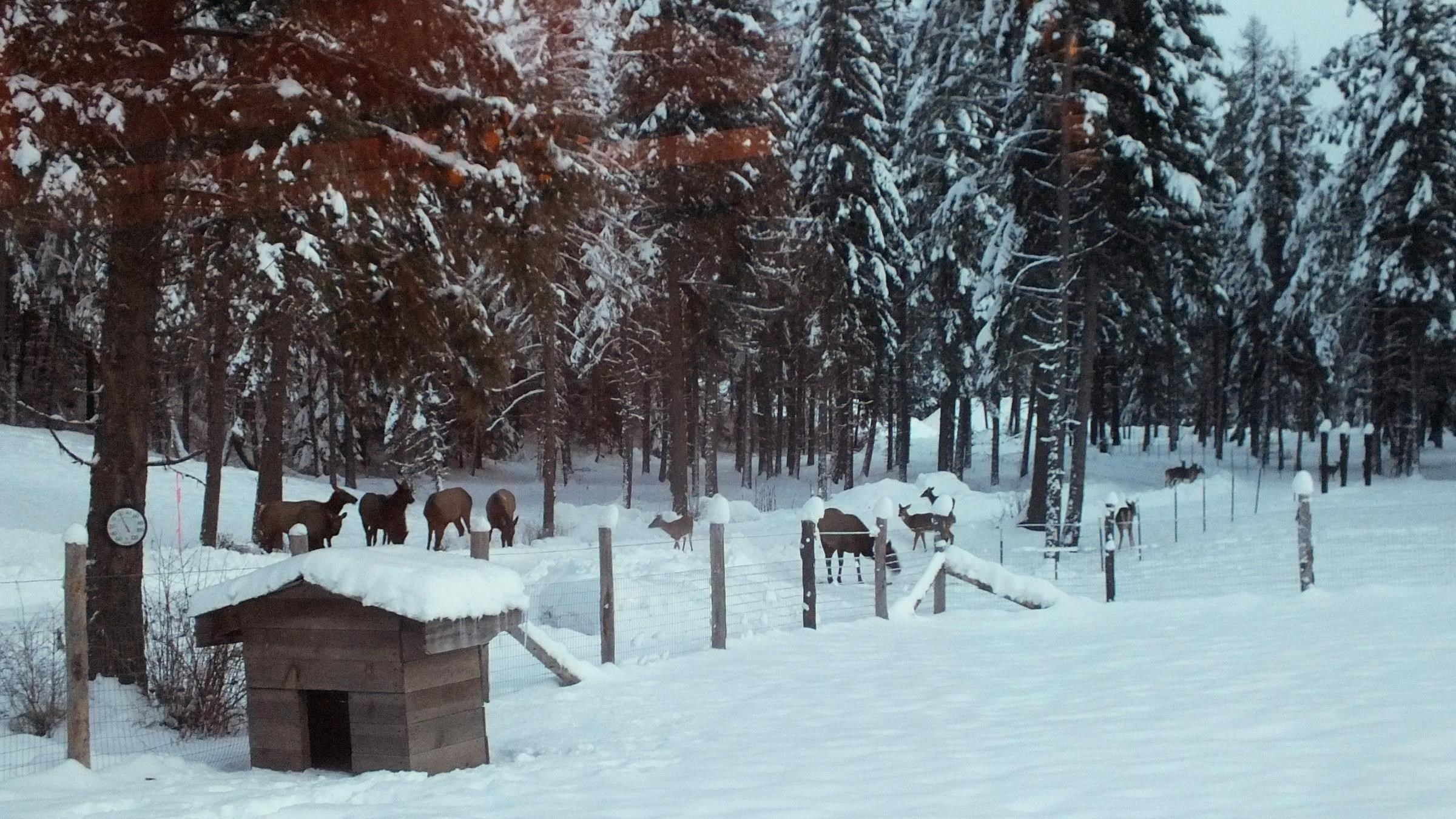 6071 Bead Lake Rd - Photo 47