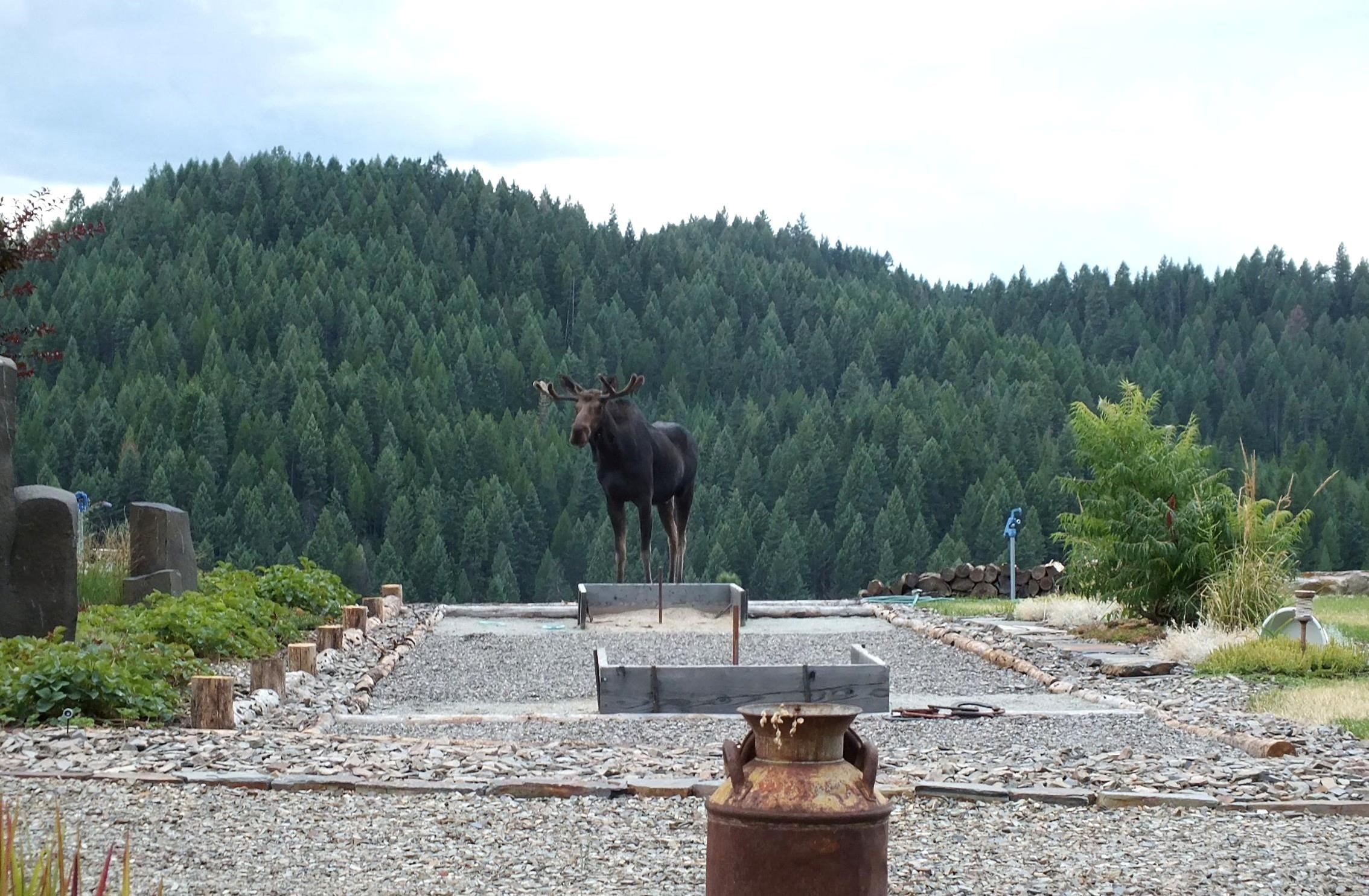 6071 Bead Lake Rd - Photo 48