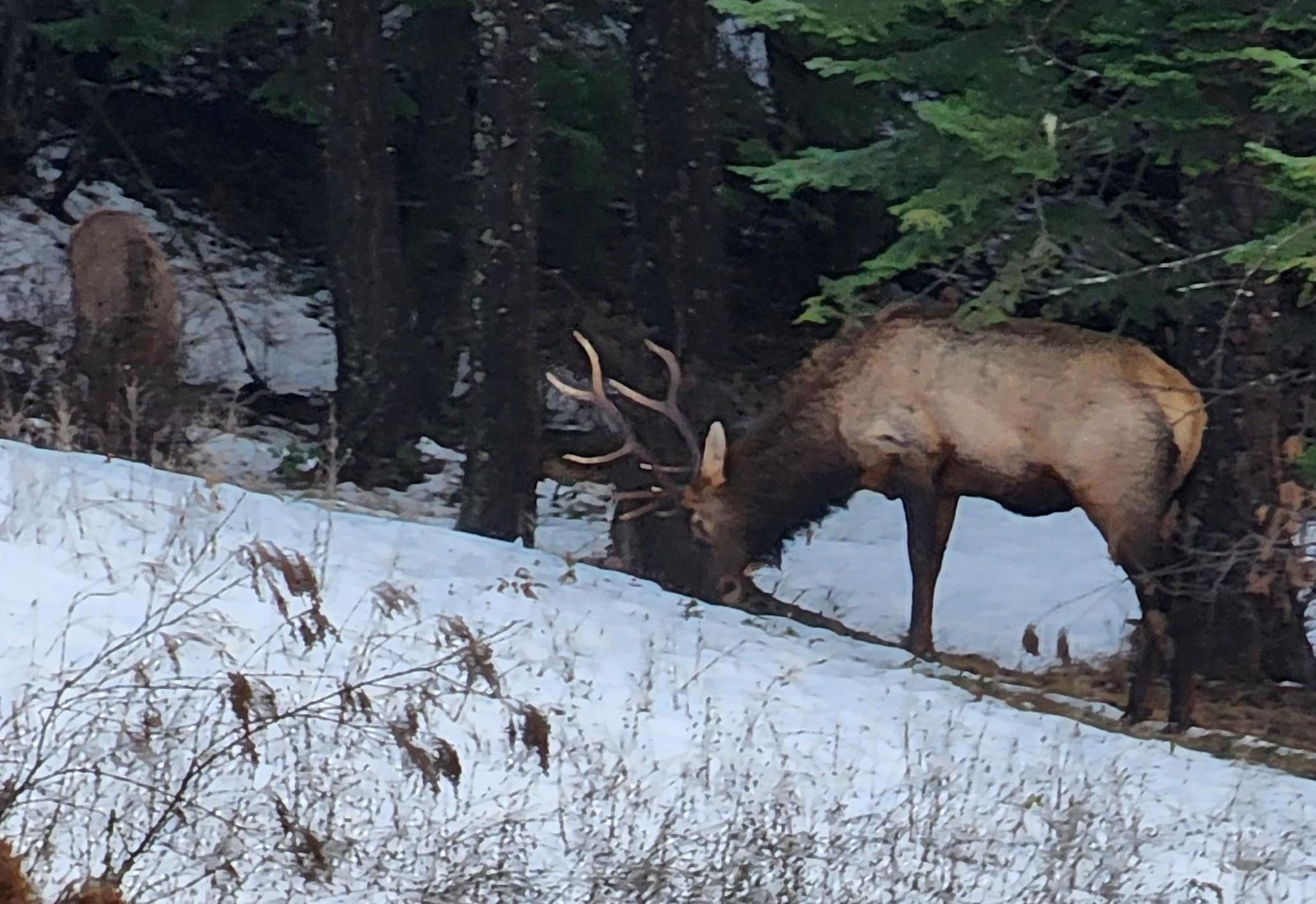 6071 Bead Lake Rd - Photo 49