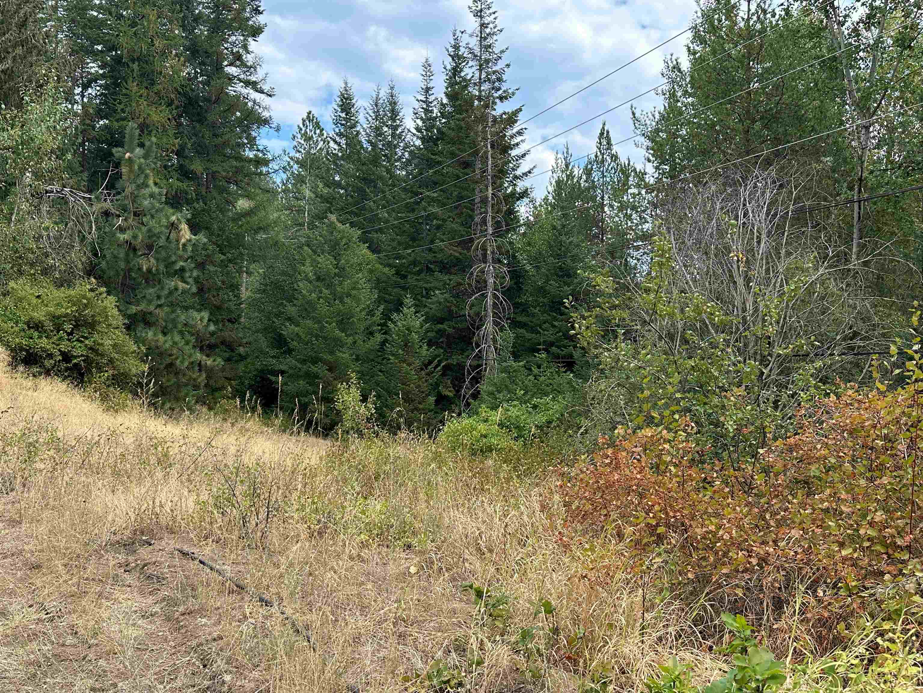 319111 Highway 2 Hwy - Photo 15