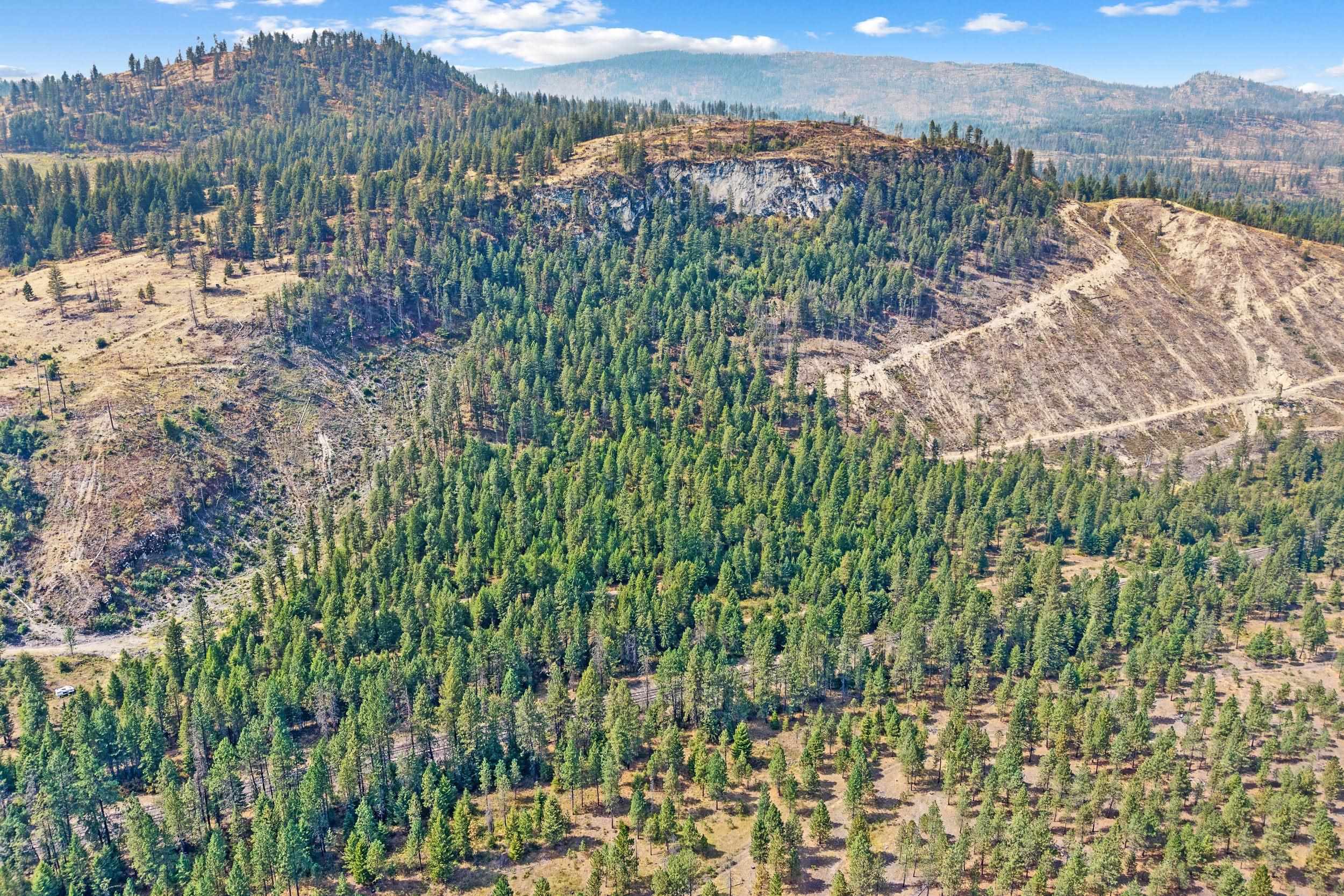 TBD Hwy 395 N - Photo 3