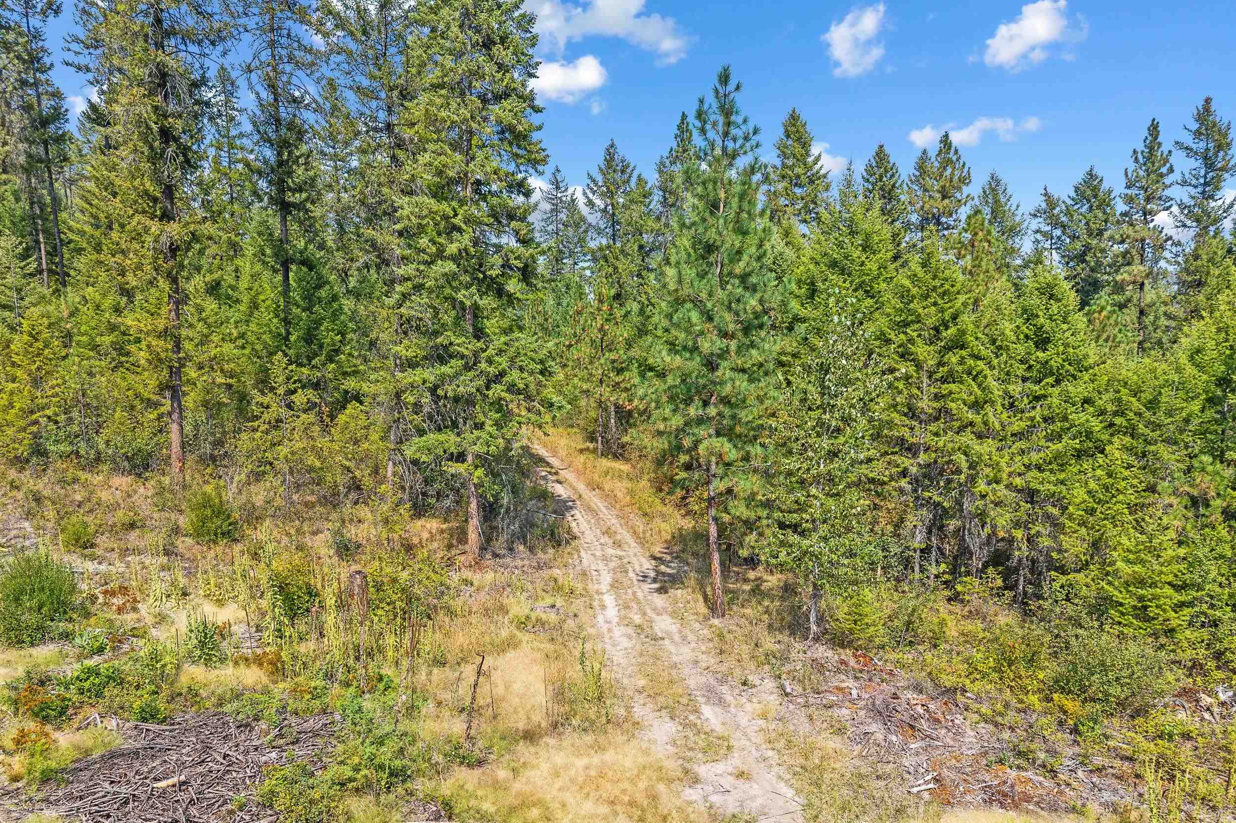 TBD Hwy 395 N - Photo 7
