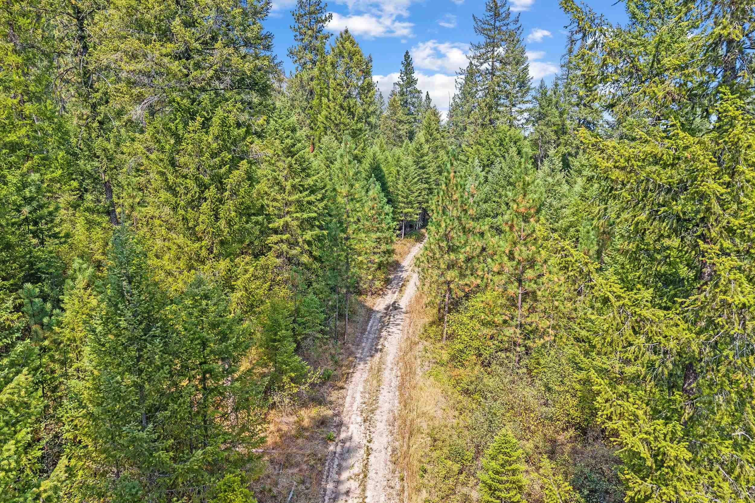 TBD Hwy 395 N - Photo 8