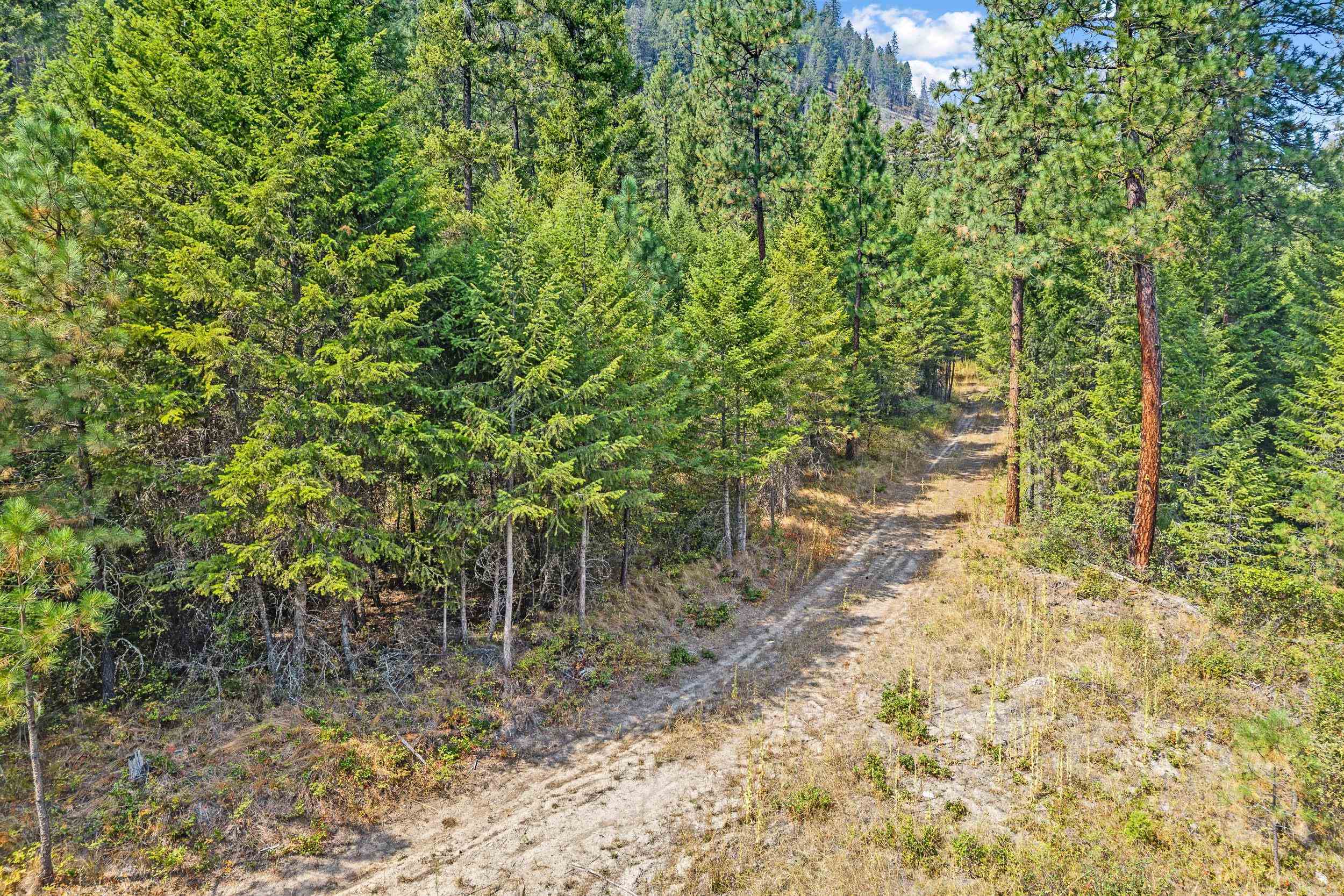 TBD Hwy 395 N - Photo 9