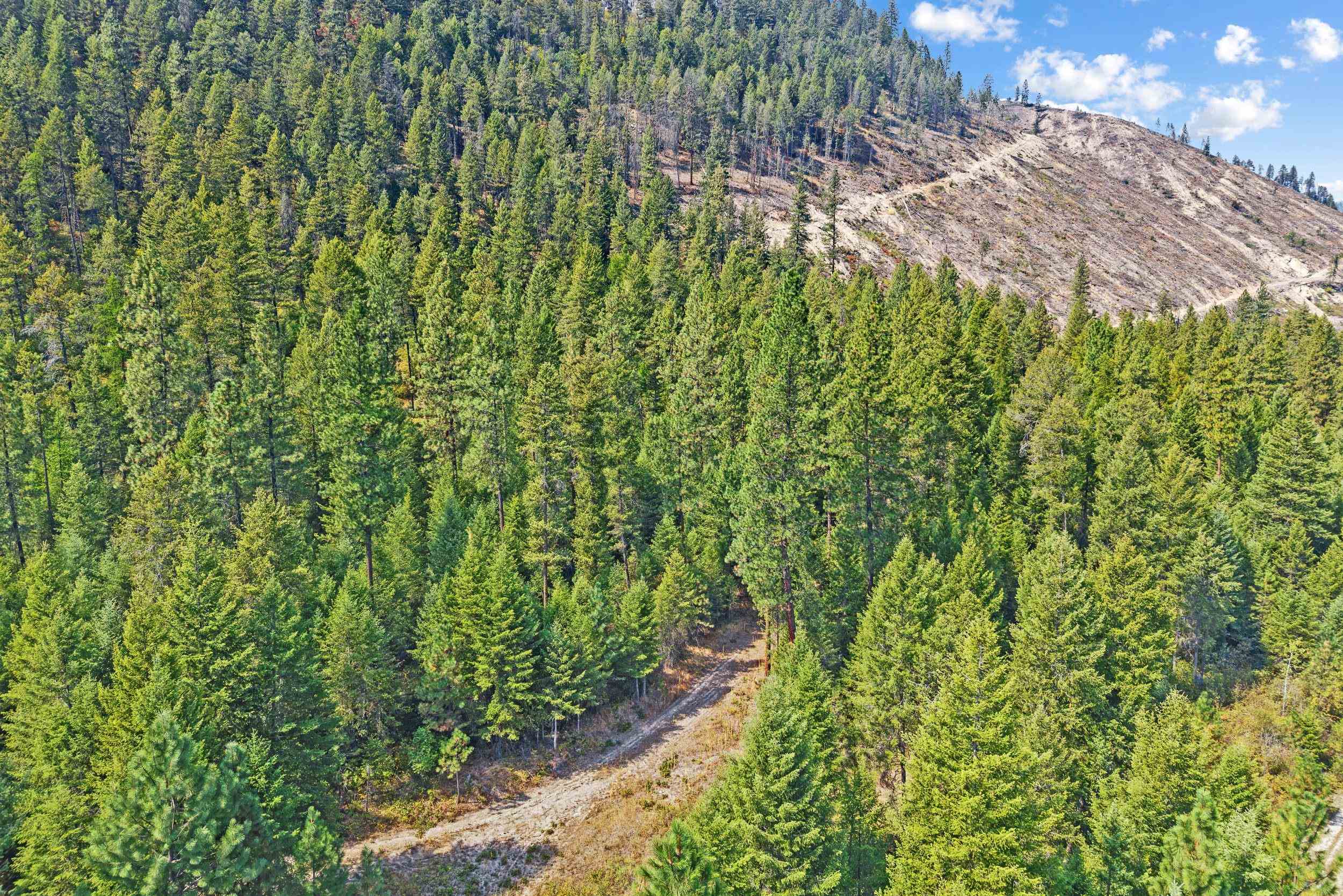 TBD Hwy 395 N - Photo 10