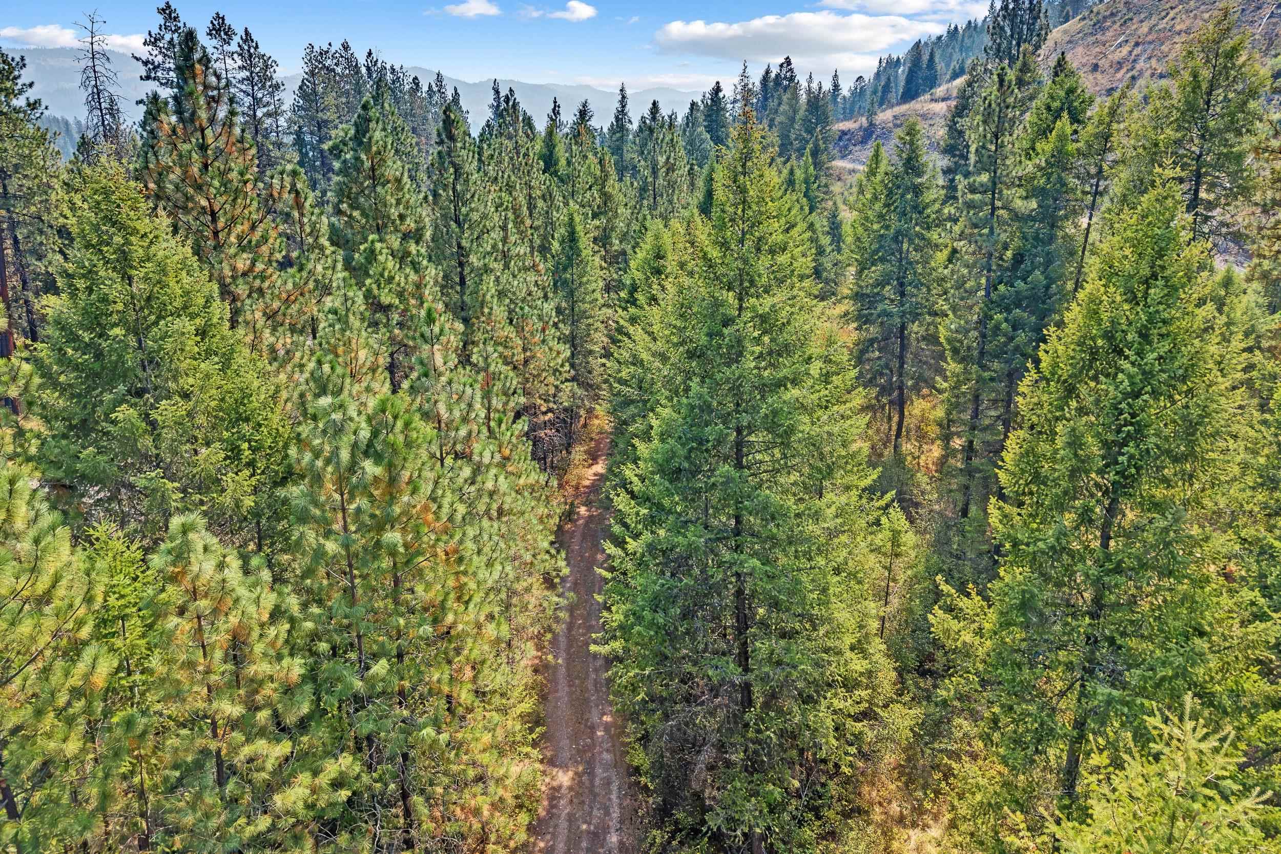 TBD Hwy 395 N - Photo 11