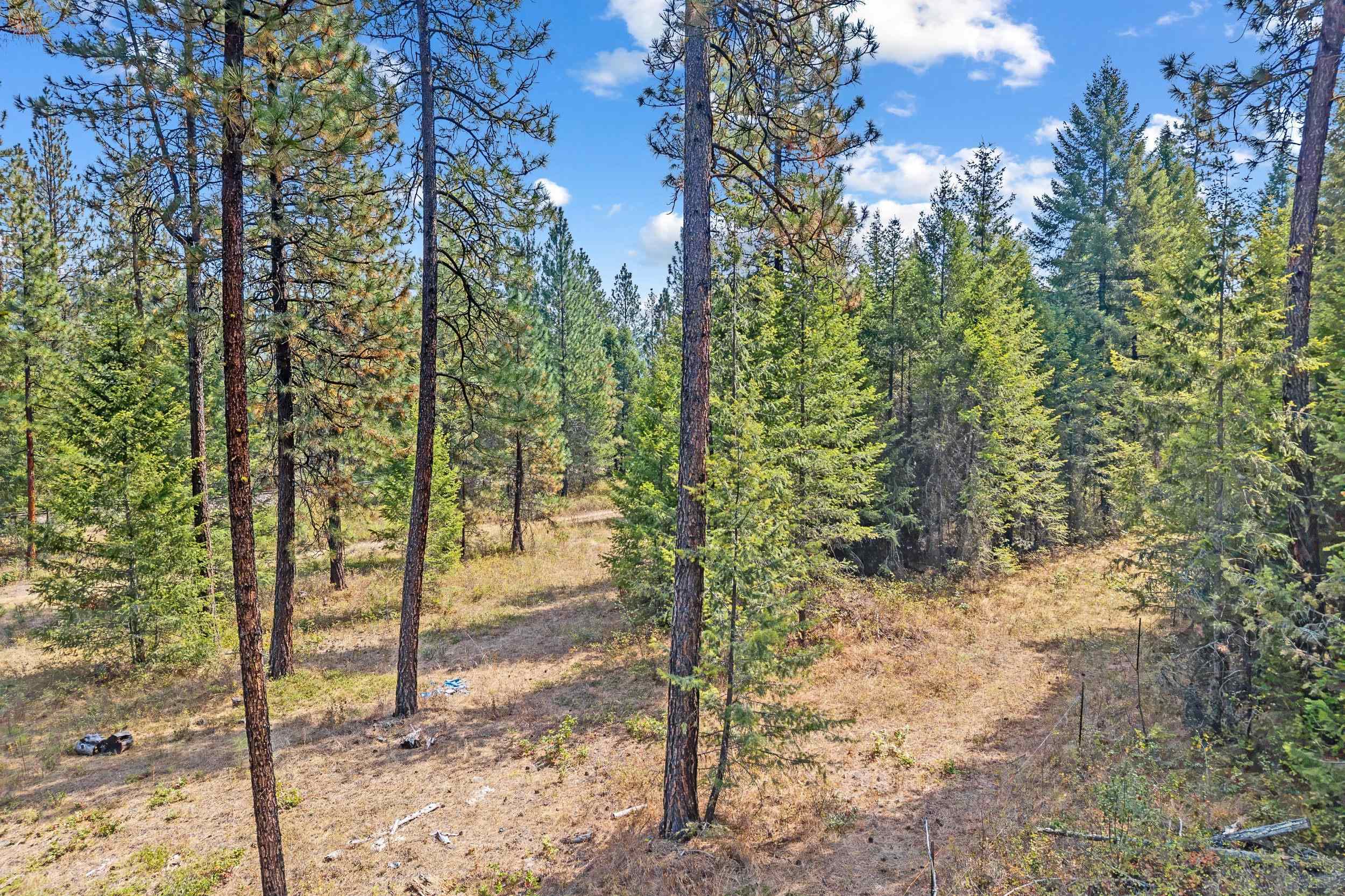 TBD Hwy 395 N - Photo 13