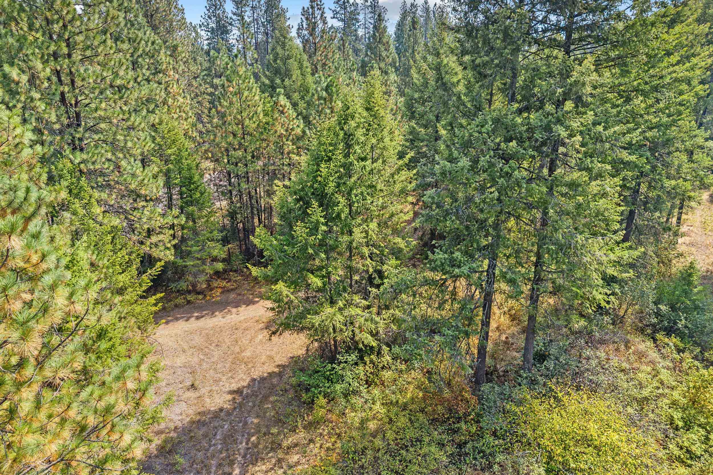 TBD Hwy 395 N - Photo 14