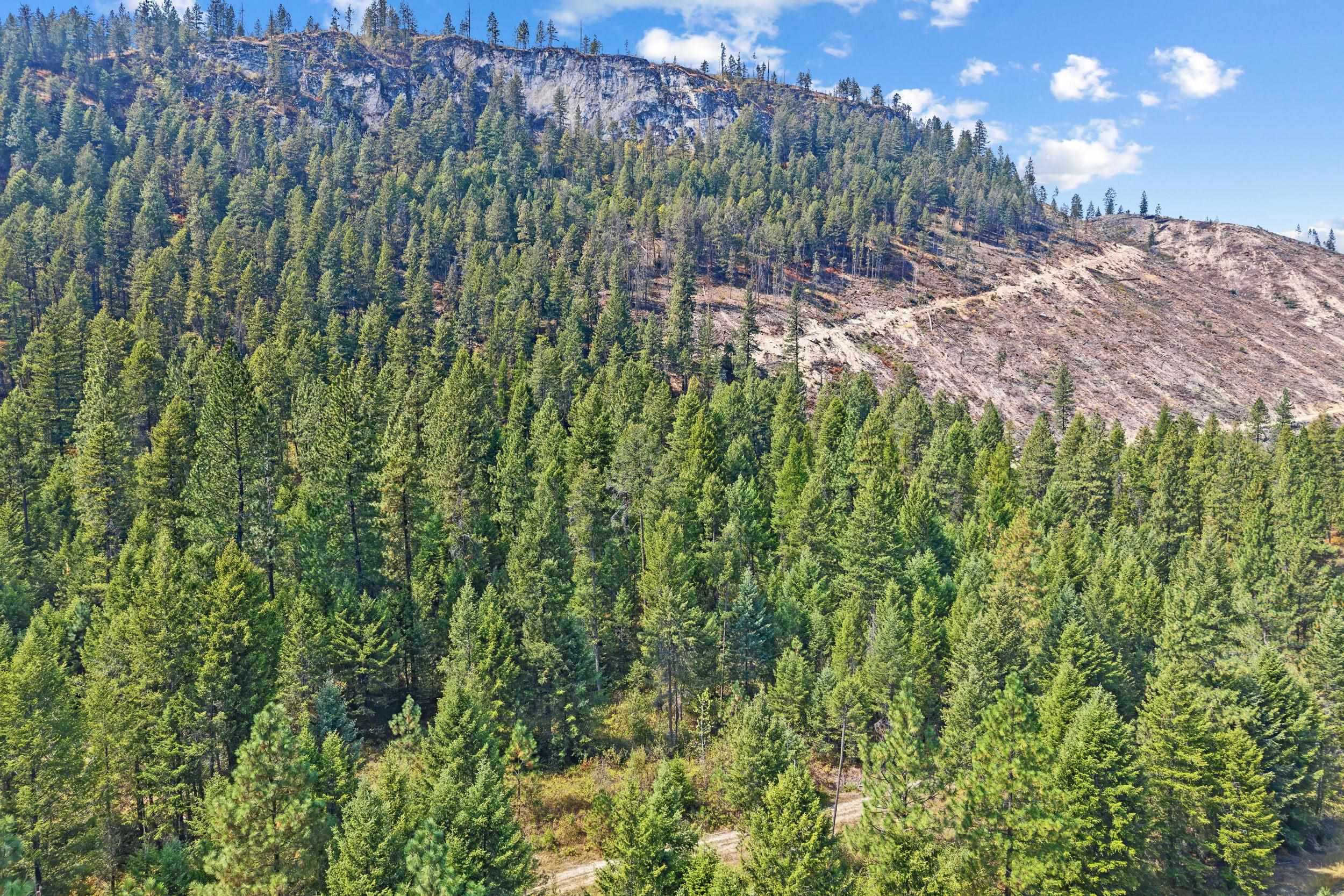 TBD Hwy 395 N - Photo 15