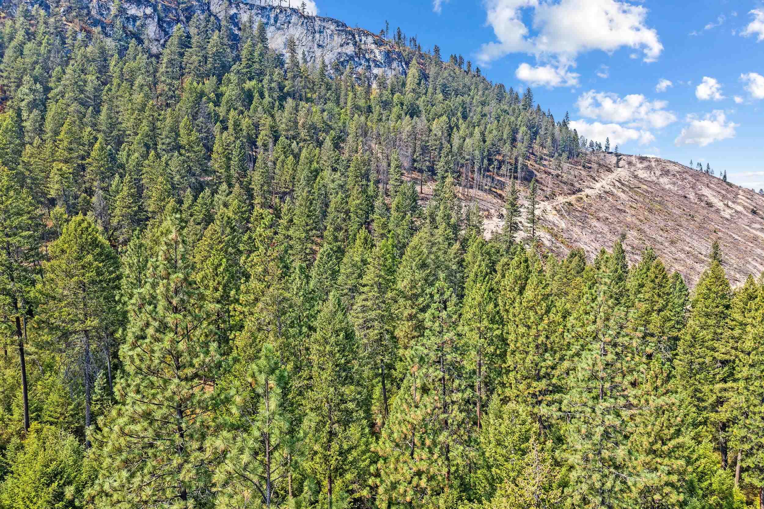 TBD Hwy 395 N - Photo 16