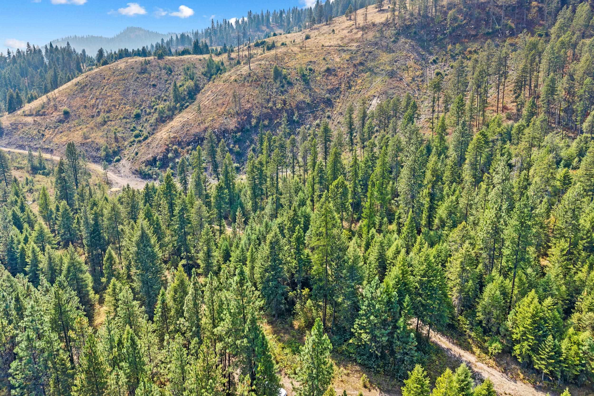 TBD Hwy 395 N - Photo 17