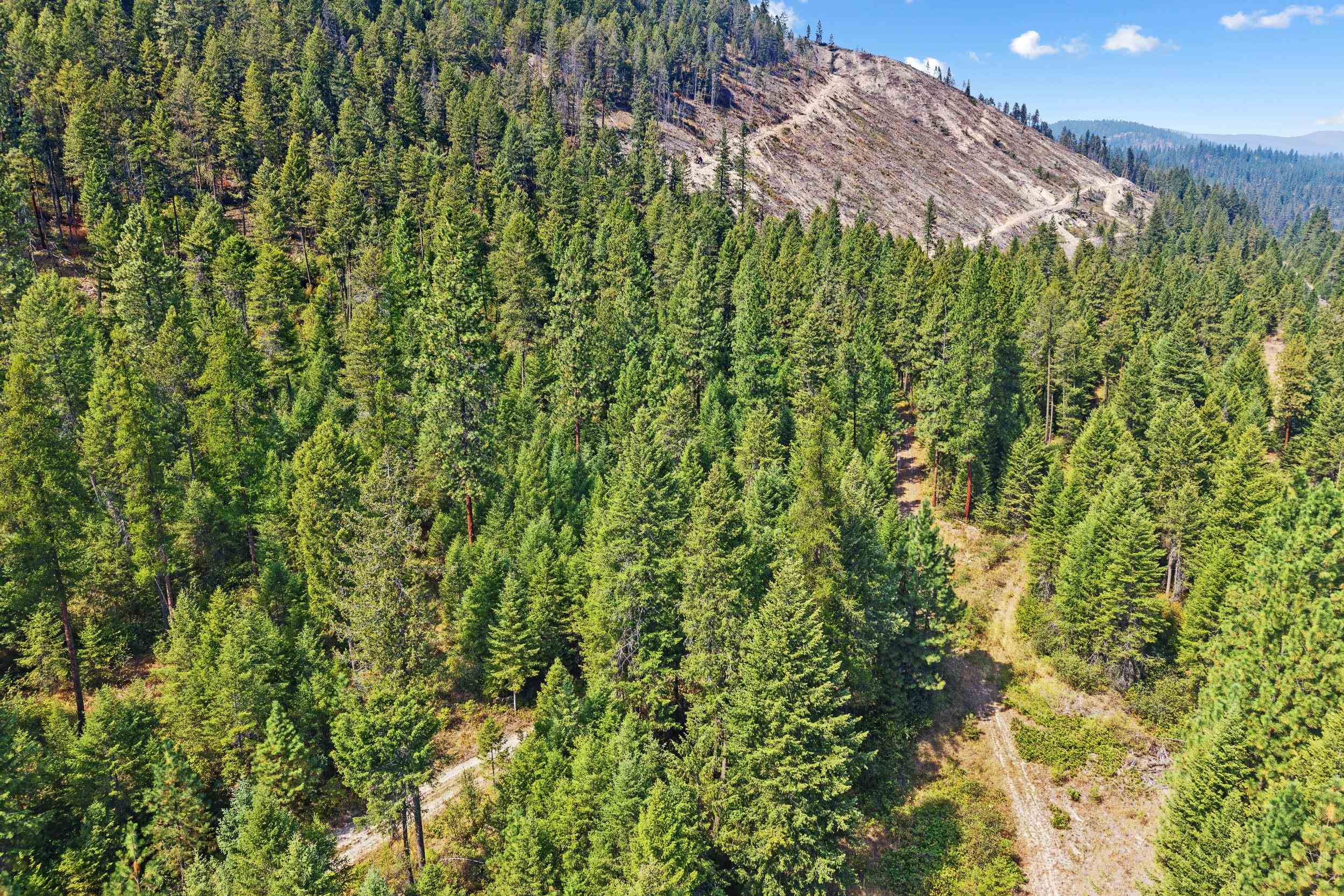 TBD Hwy 395 N - Photo 21