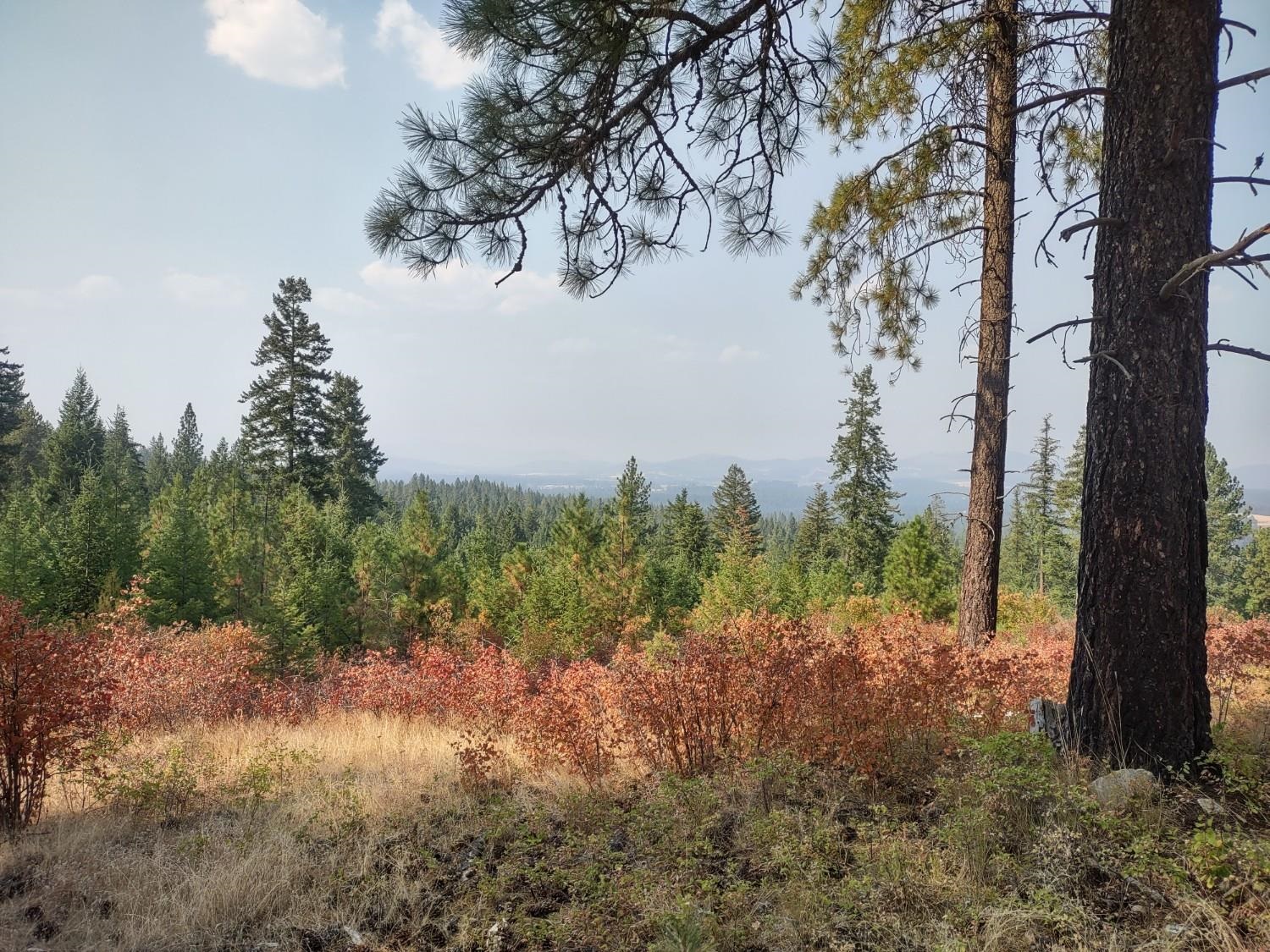 X Lodgepole Ln - Photo 2
