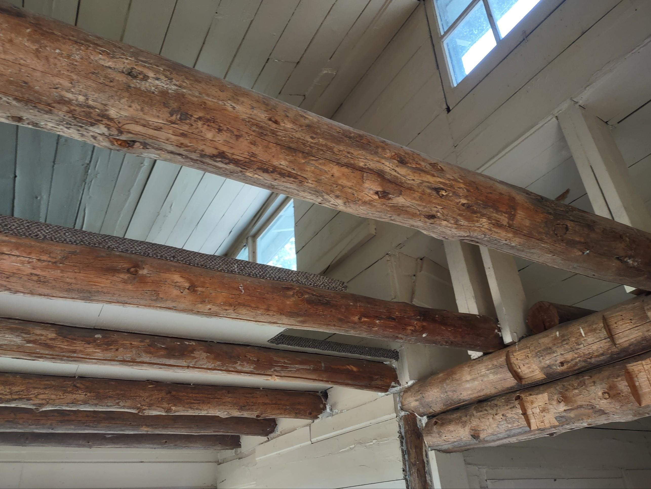 X Lodgepole Ln - Photo 5