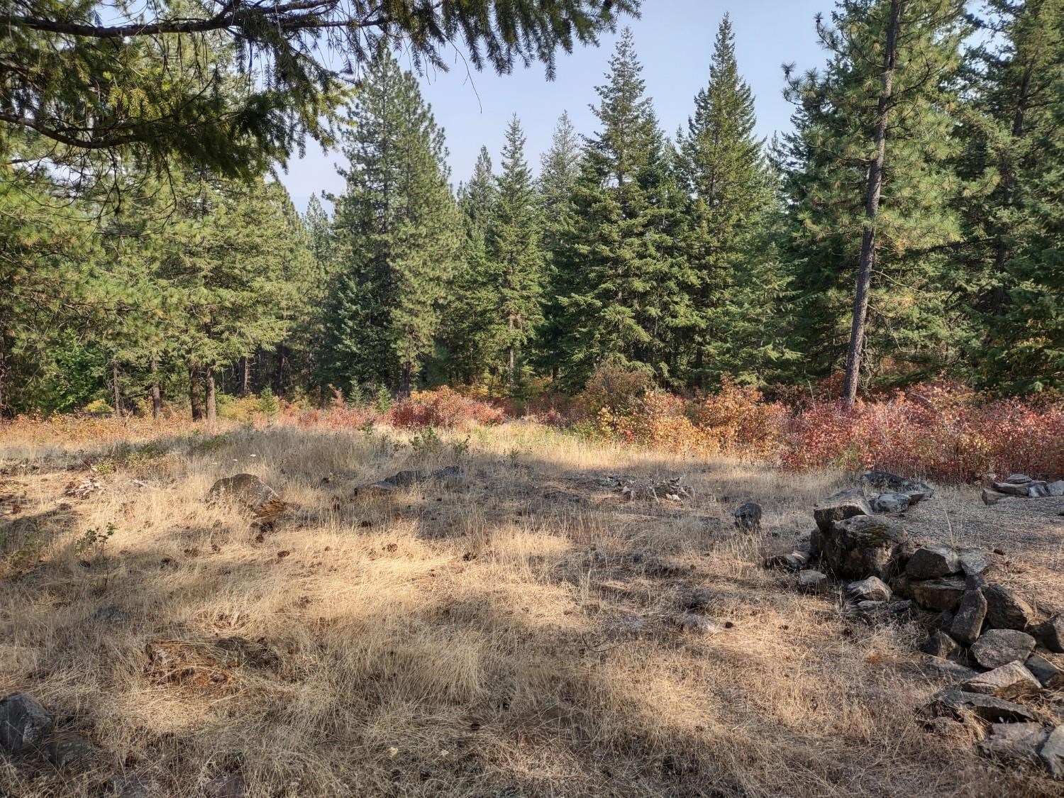 X Lodgepole Ln - Photo 8