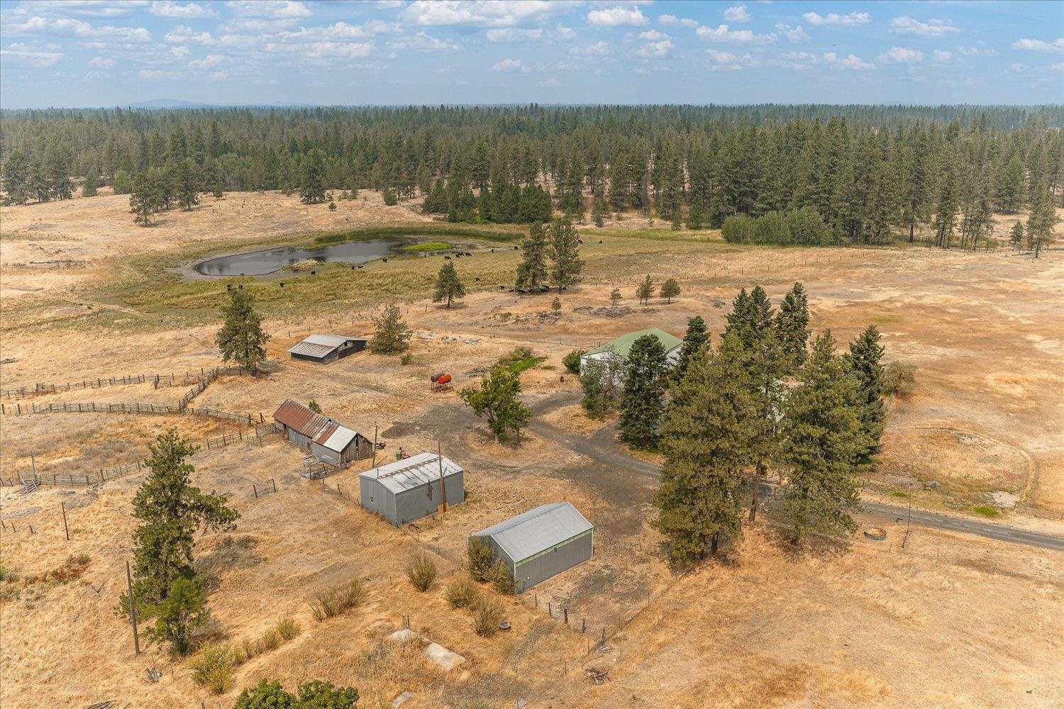 29105 S Cheney-Plaza Rd - Photo 49