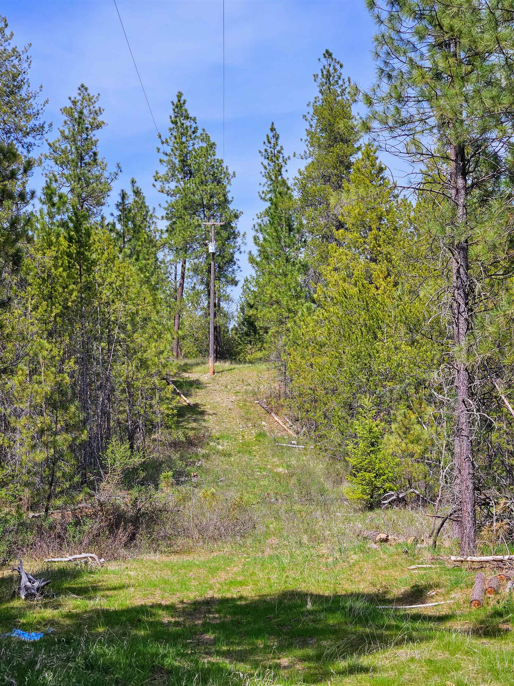 4464 Woods Way Rd - Photo 2
