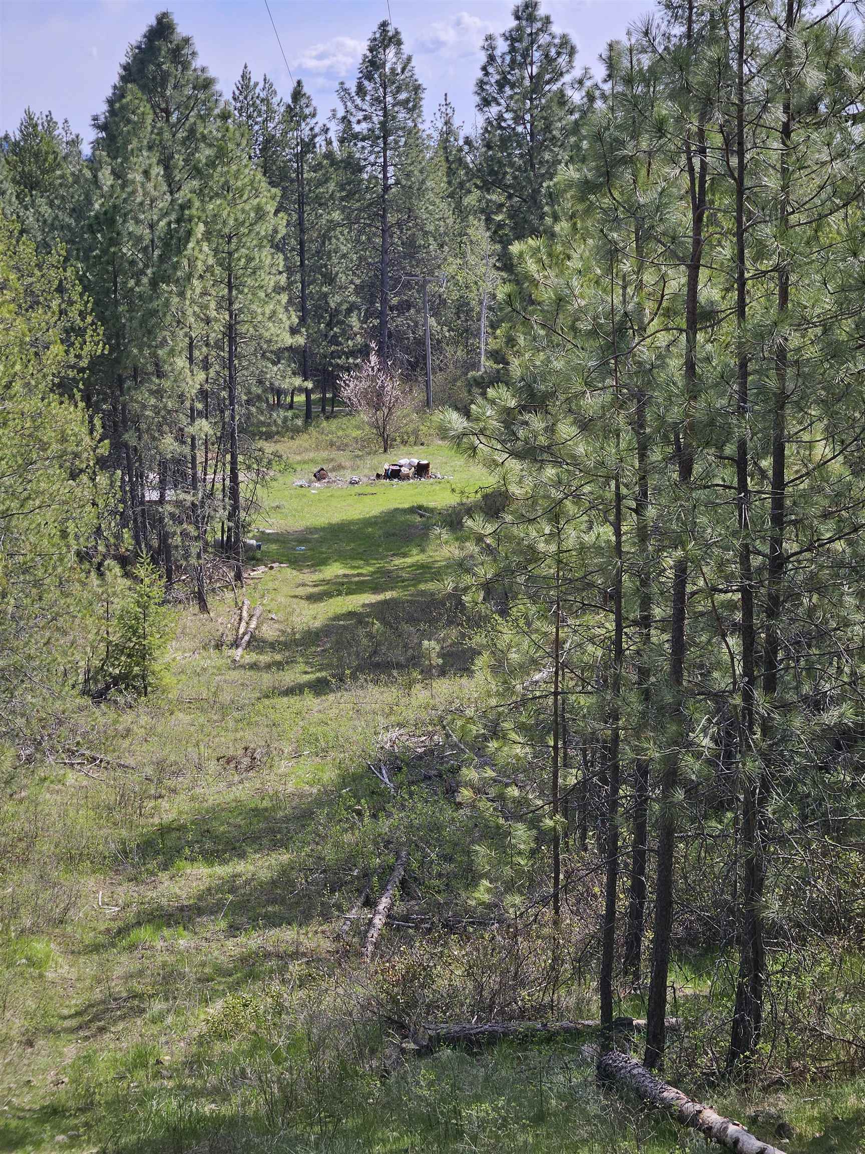 4464 Woods Way Rd - Photo 4