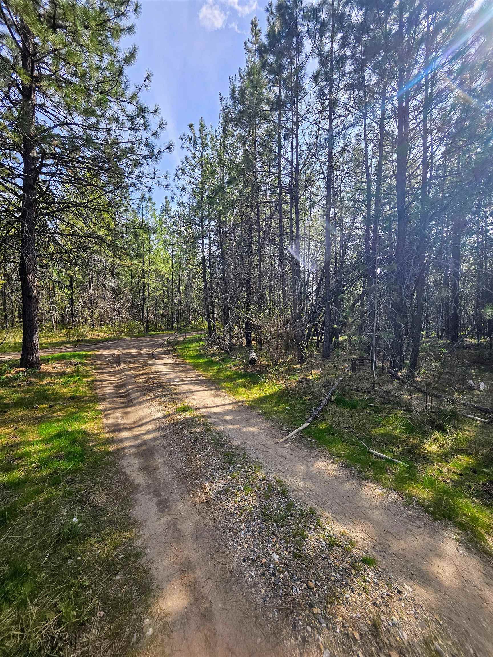 4464 Woods Way Rd - Photo 5
